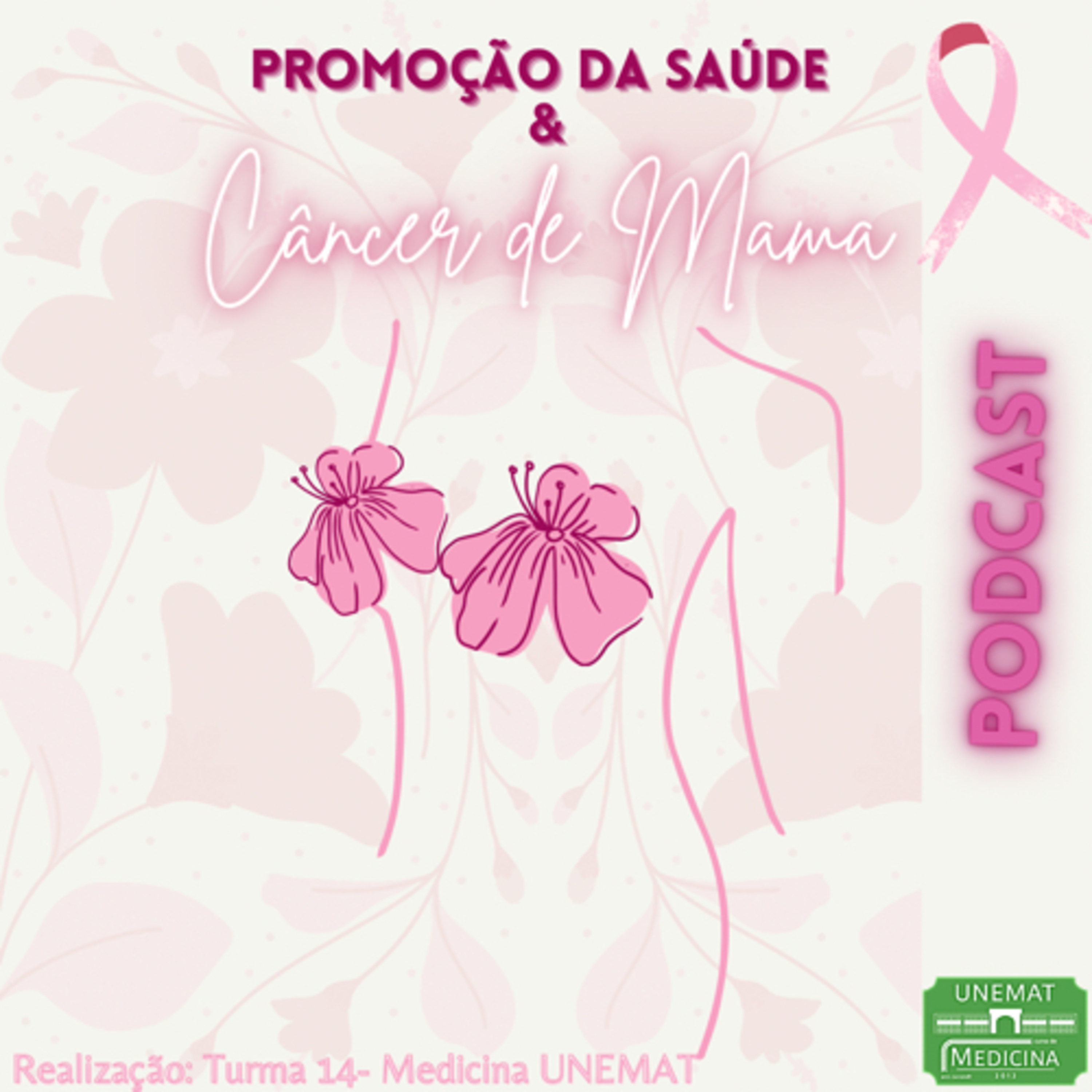 Promoção da Saúde e Câncer de Mama episode artwork