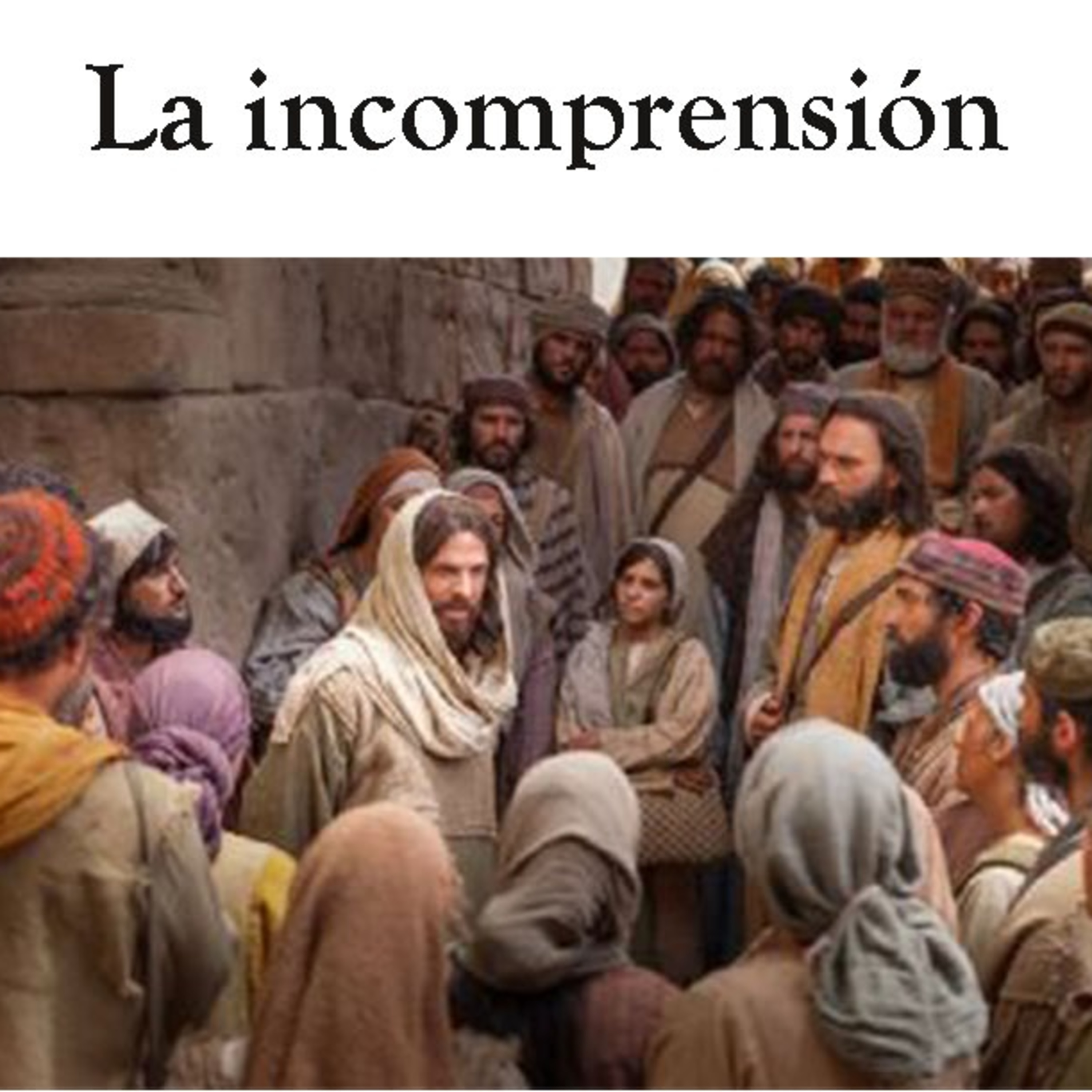 COMPAÑEROS DE CAMINO