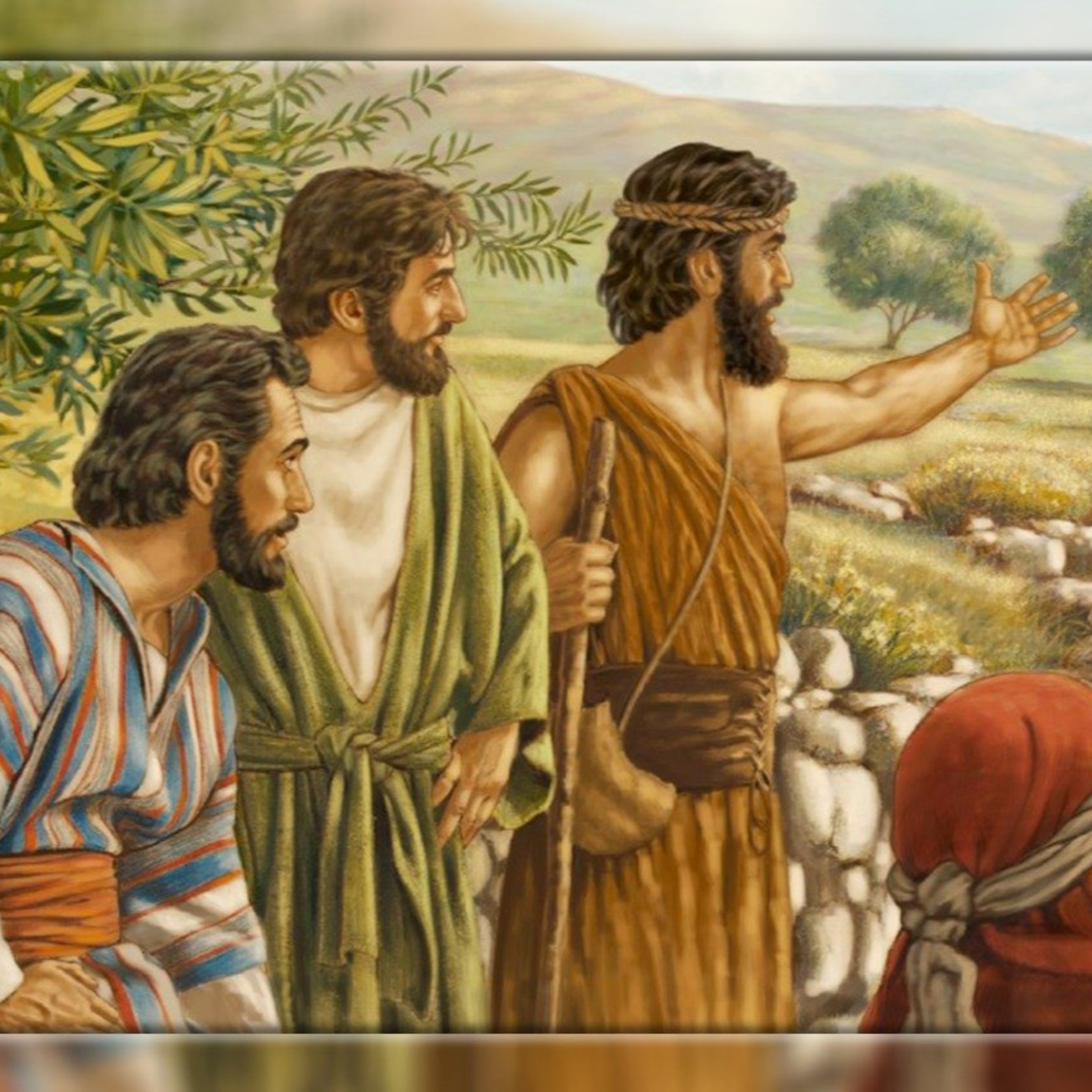 COMPAÑEROS DE CAMINO