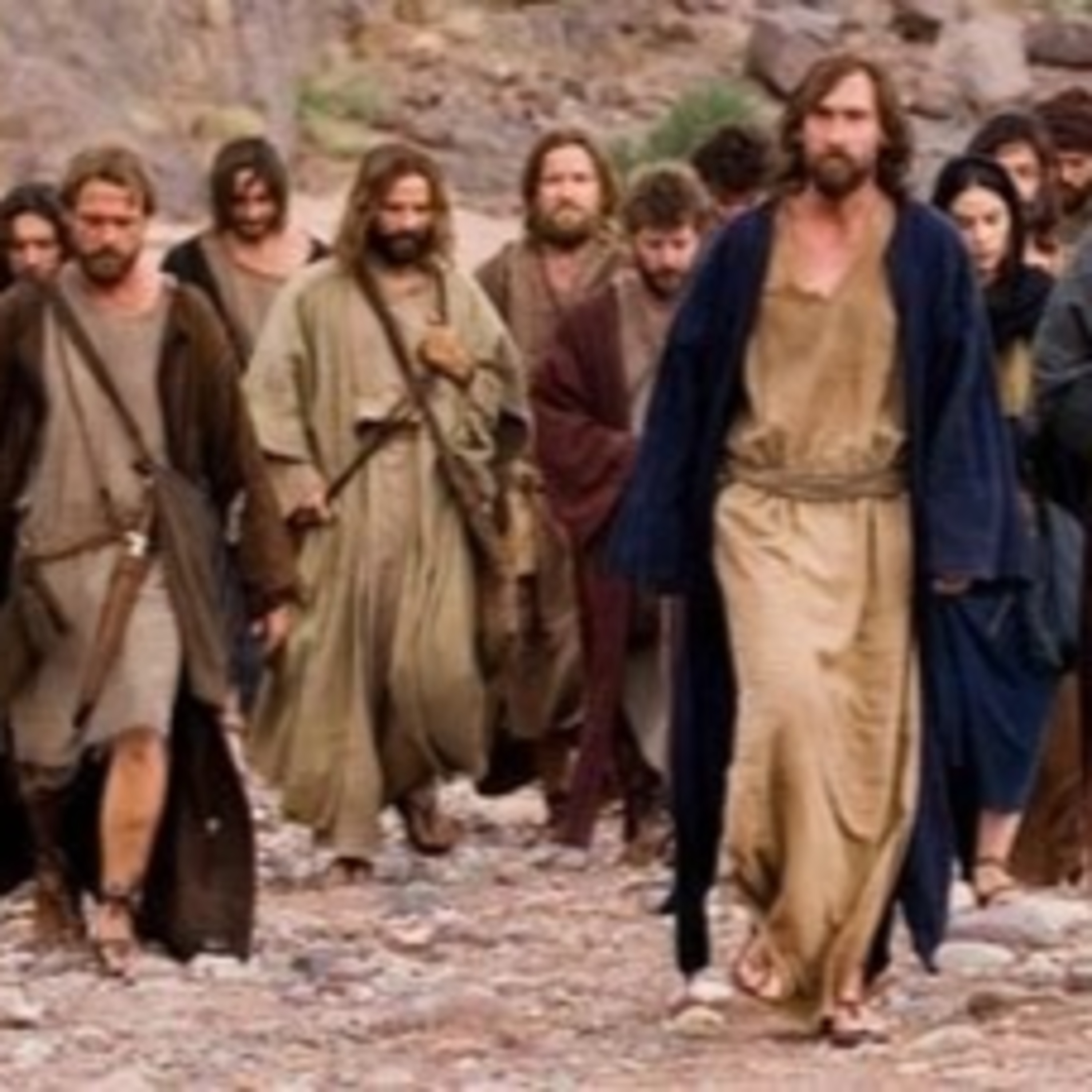 COMPAÑEROS DE CAMINO
