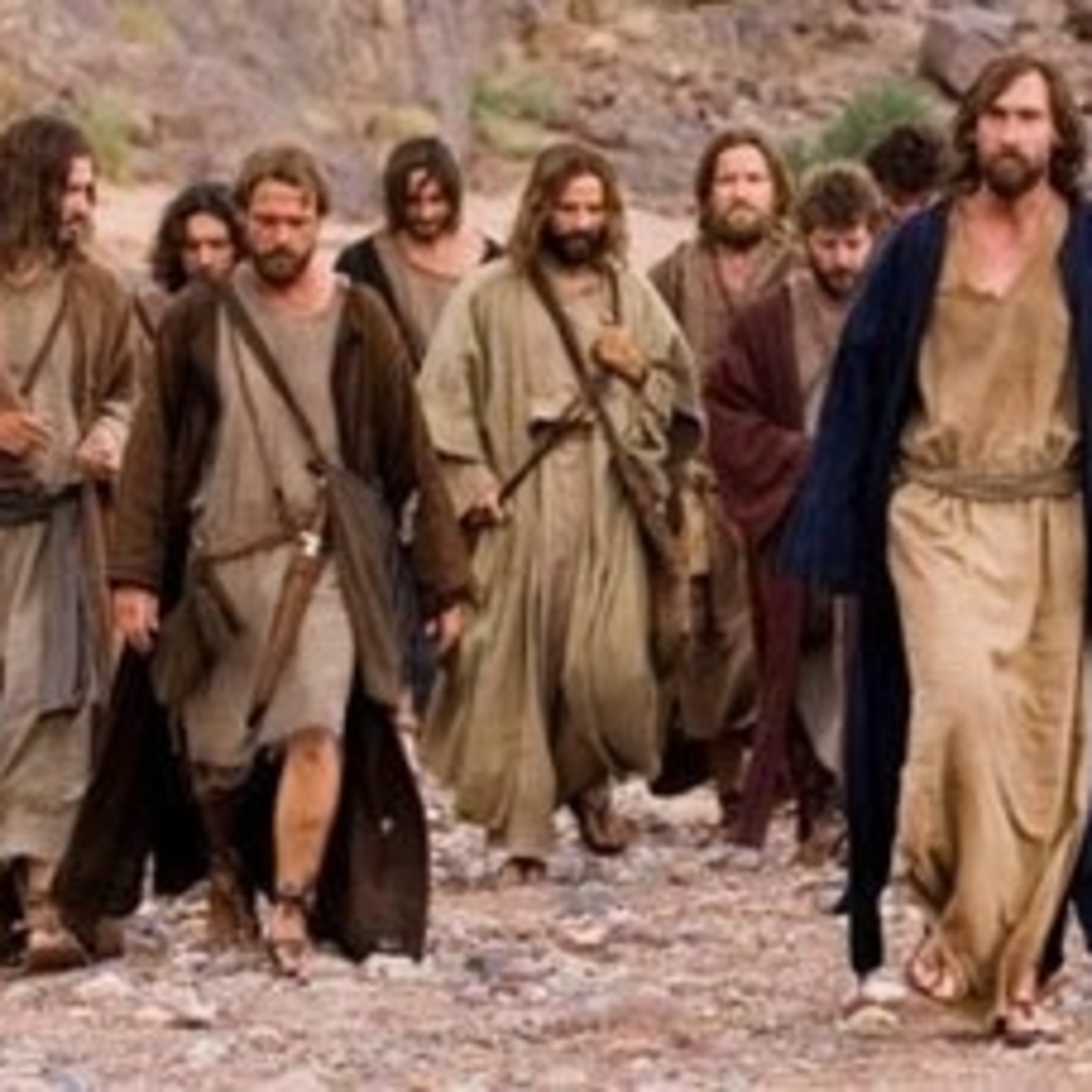 COMPAÑEROS DE CAMINO