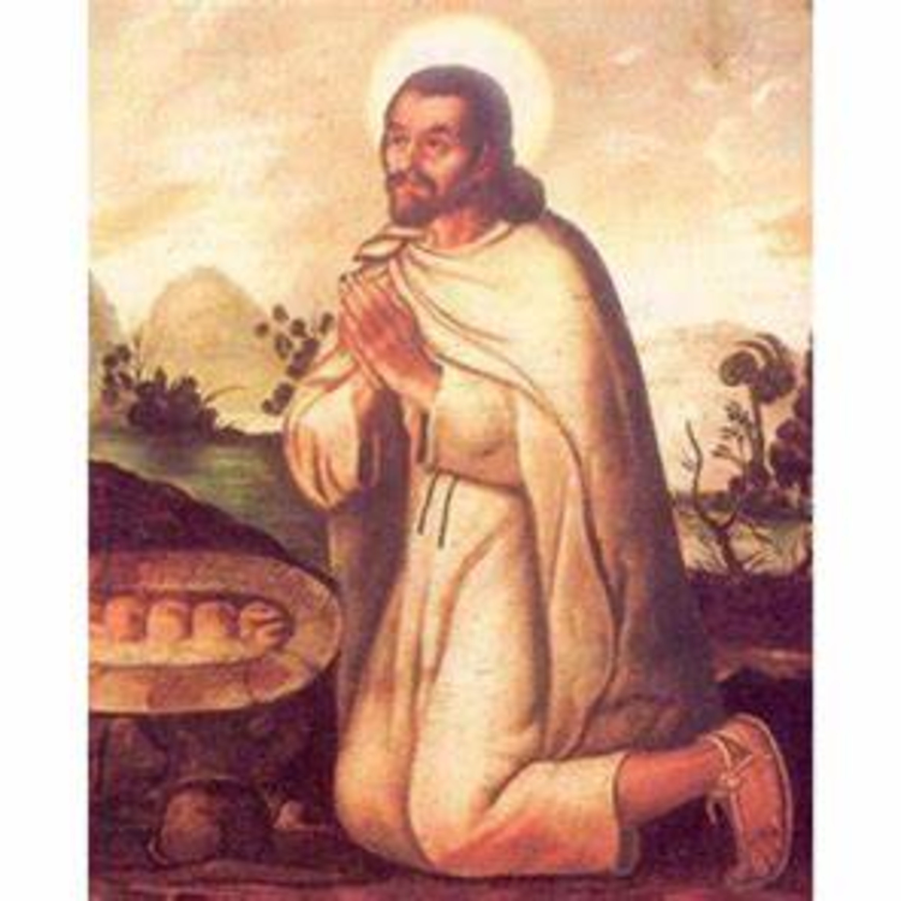 COMPAÑEROS DE CAMINO