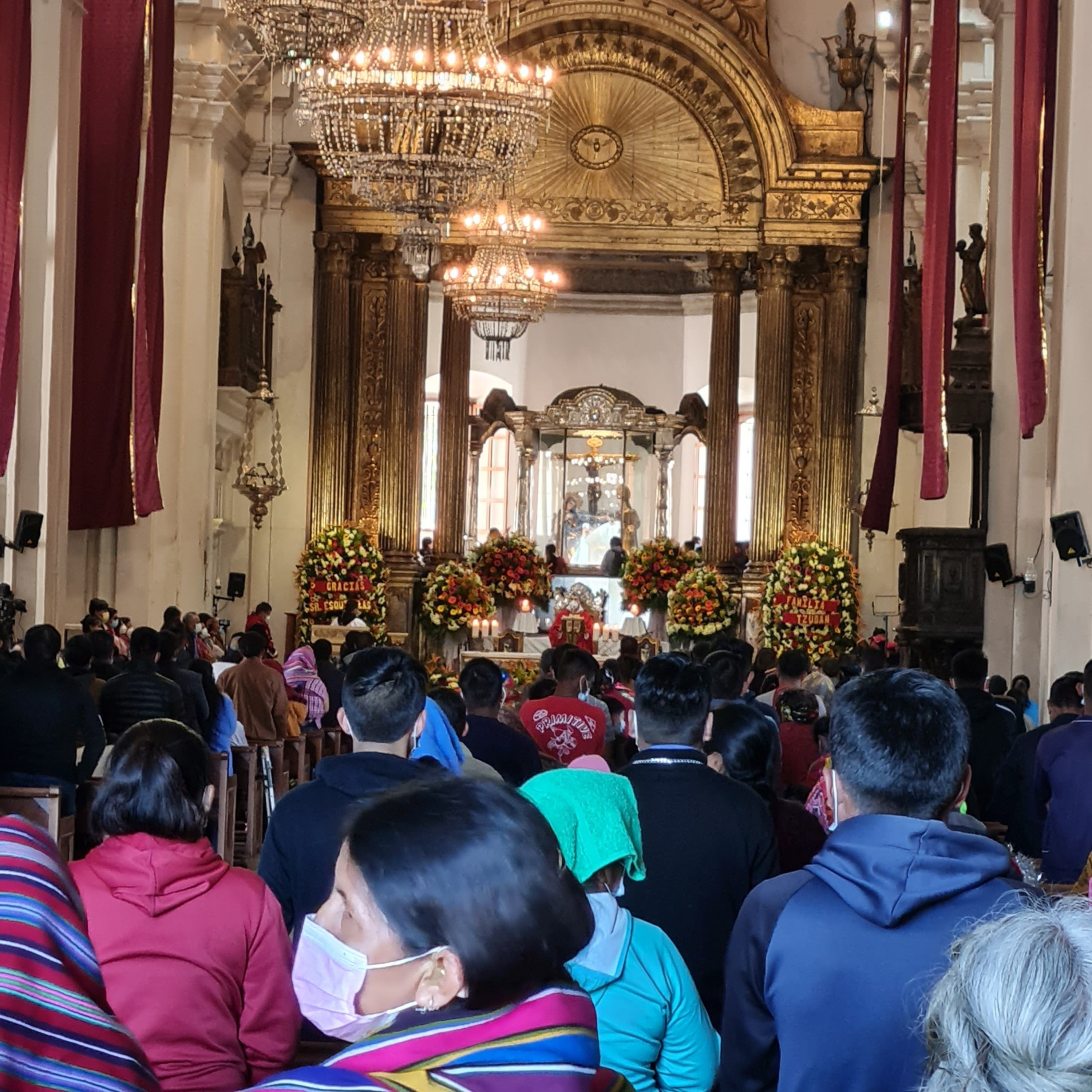 COMPAÑEROS DE CAMINO