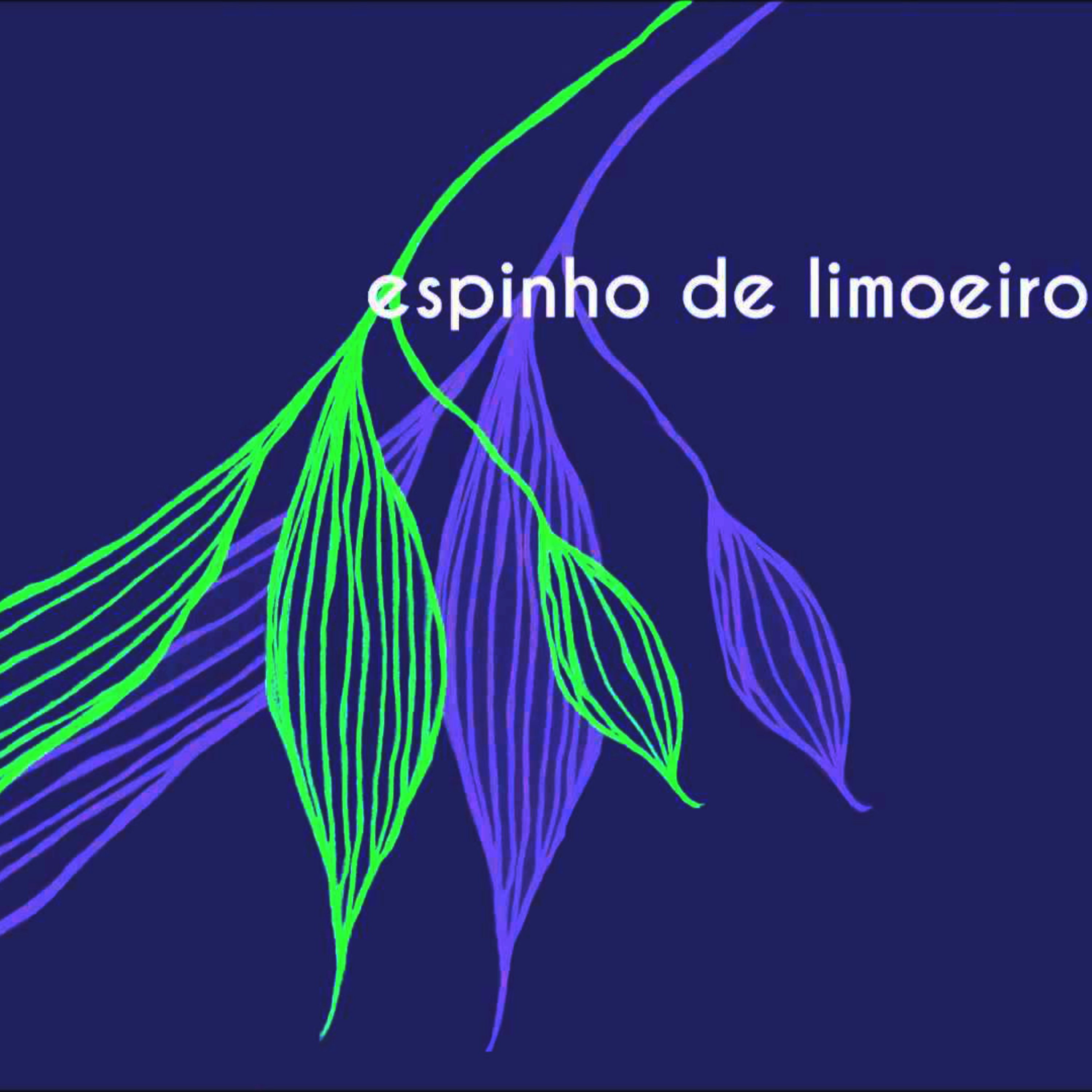 Conversa Instrumental