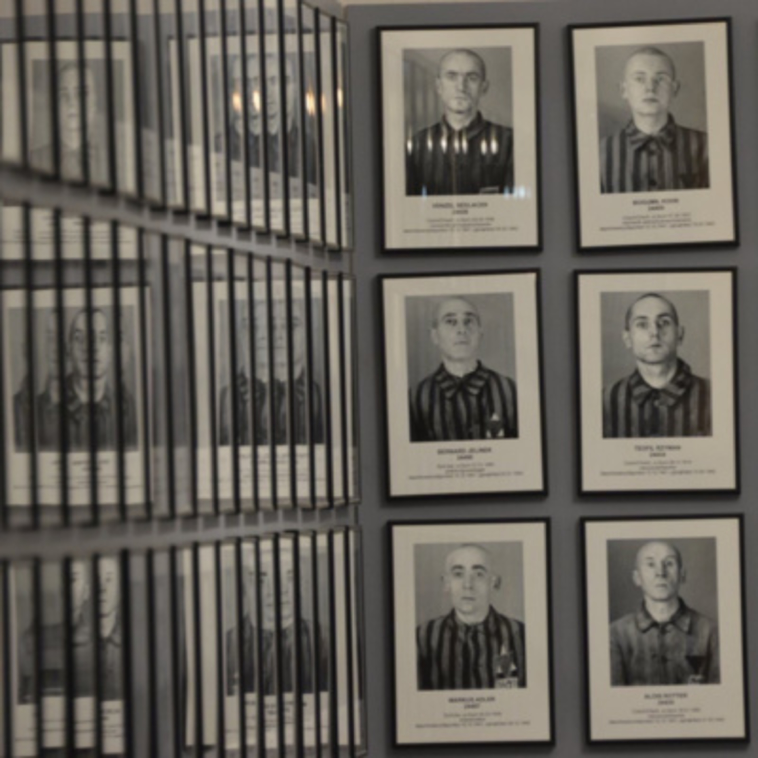 "On Auschwitz" (3): What to read? Literature based on the history of the camp.