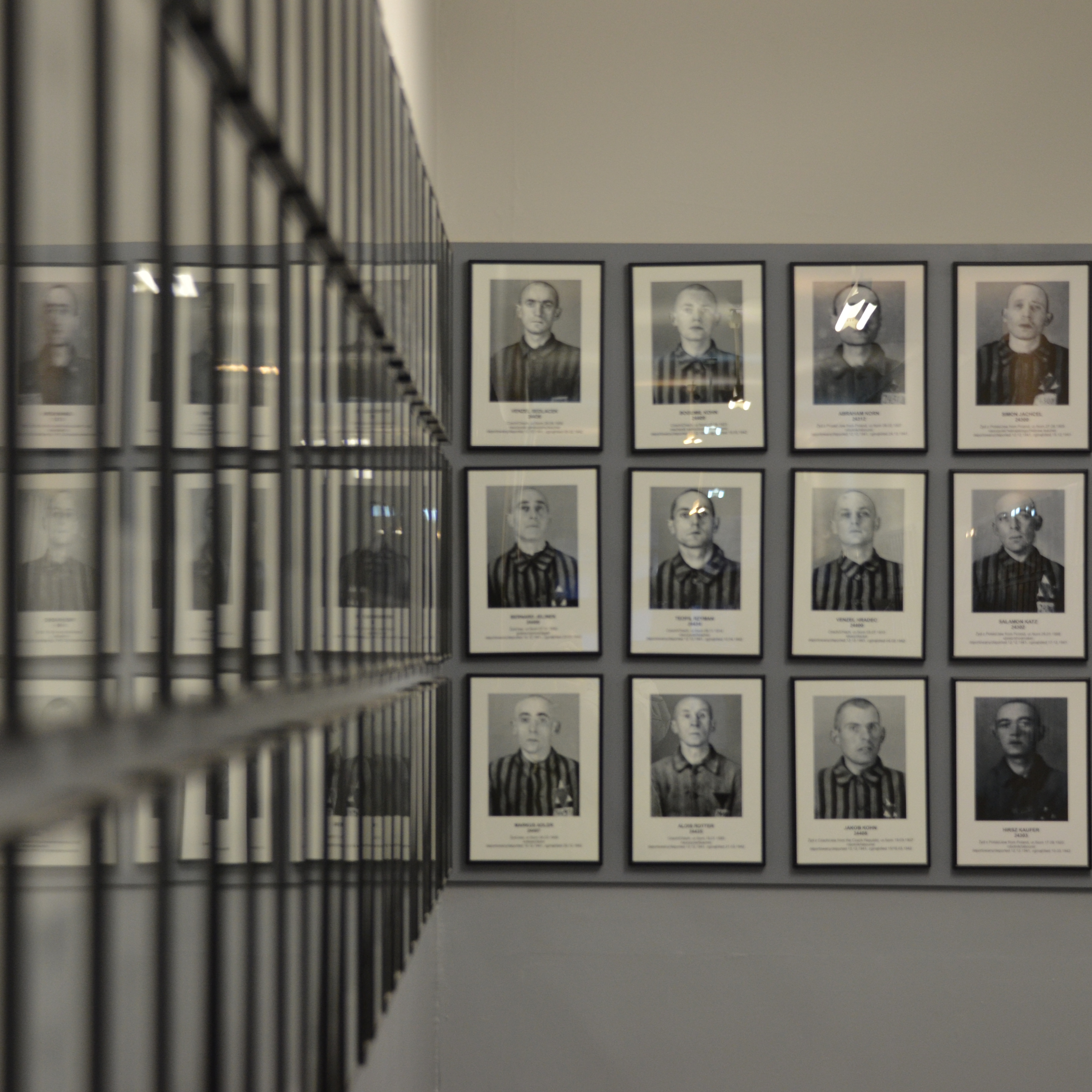 "On Auschwitz" (12): Polish and Jewish prisoners in the camp