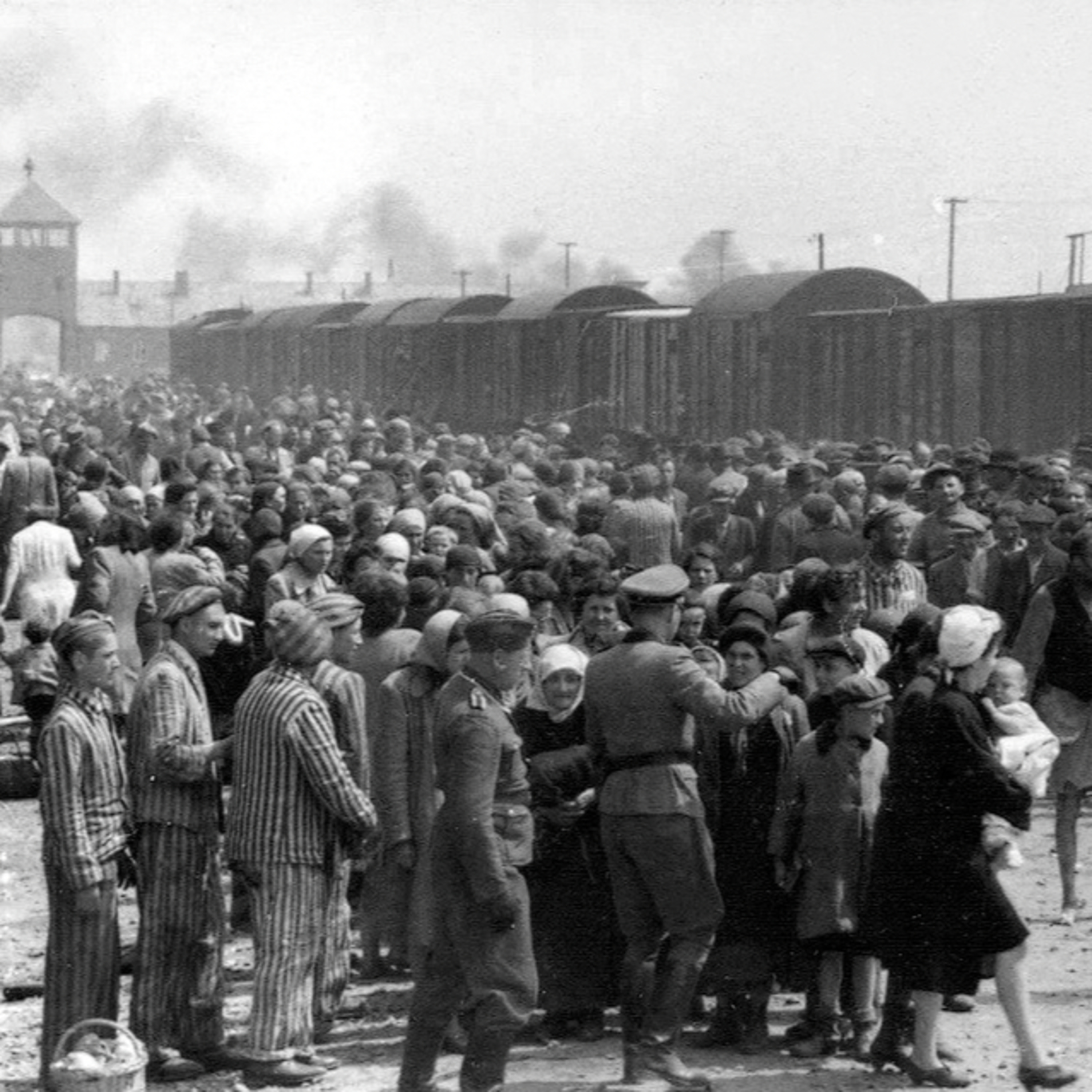 "On Auschwitz" (16): The research on the number of victims of the camp