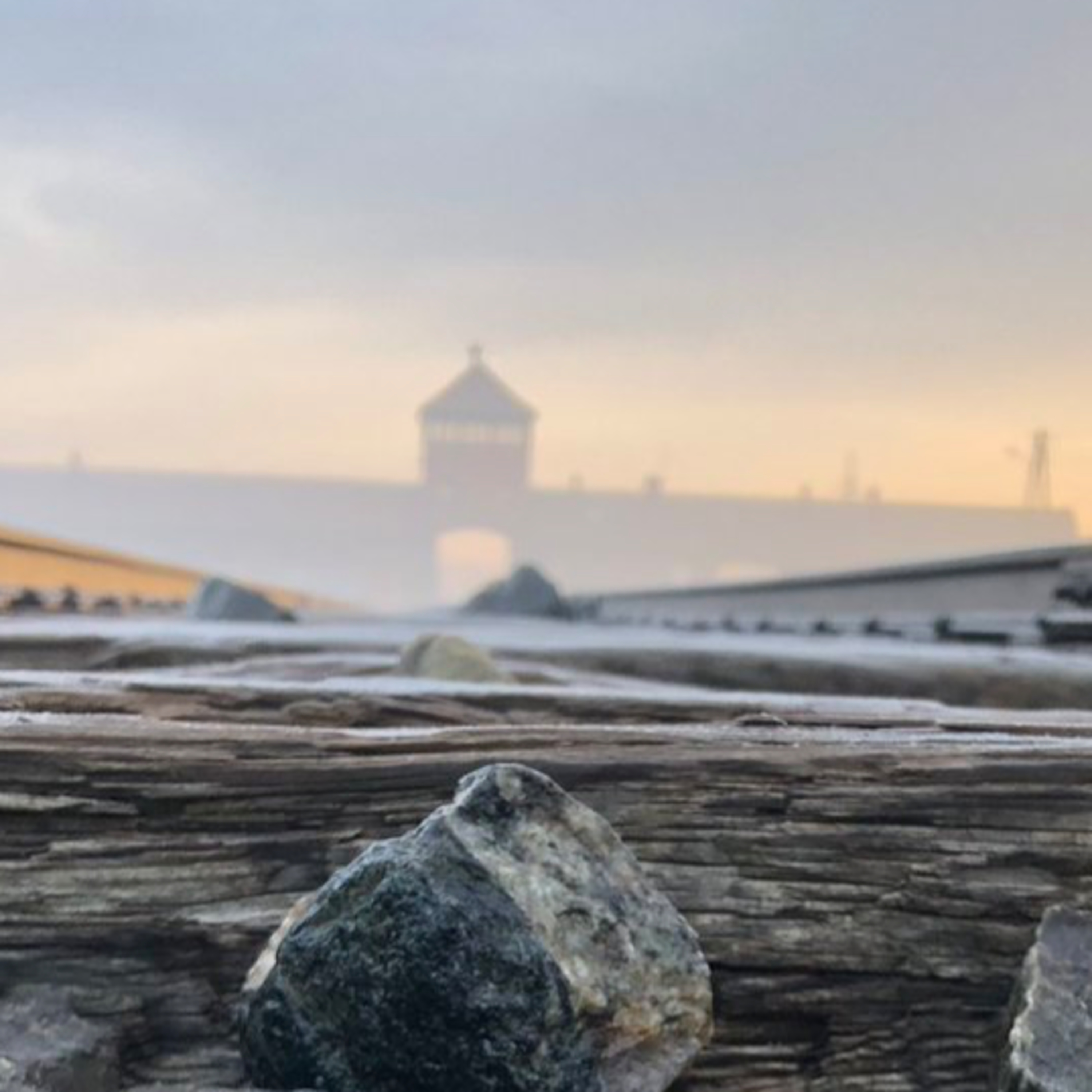 "On Auschwitz" (24): New Research on the History of Auschwitz