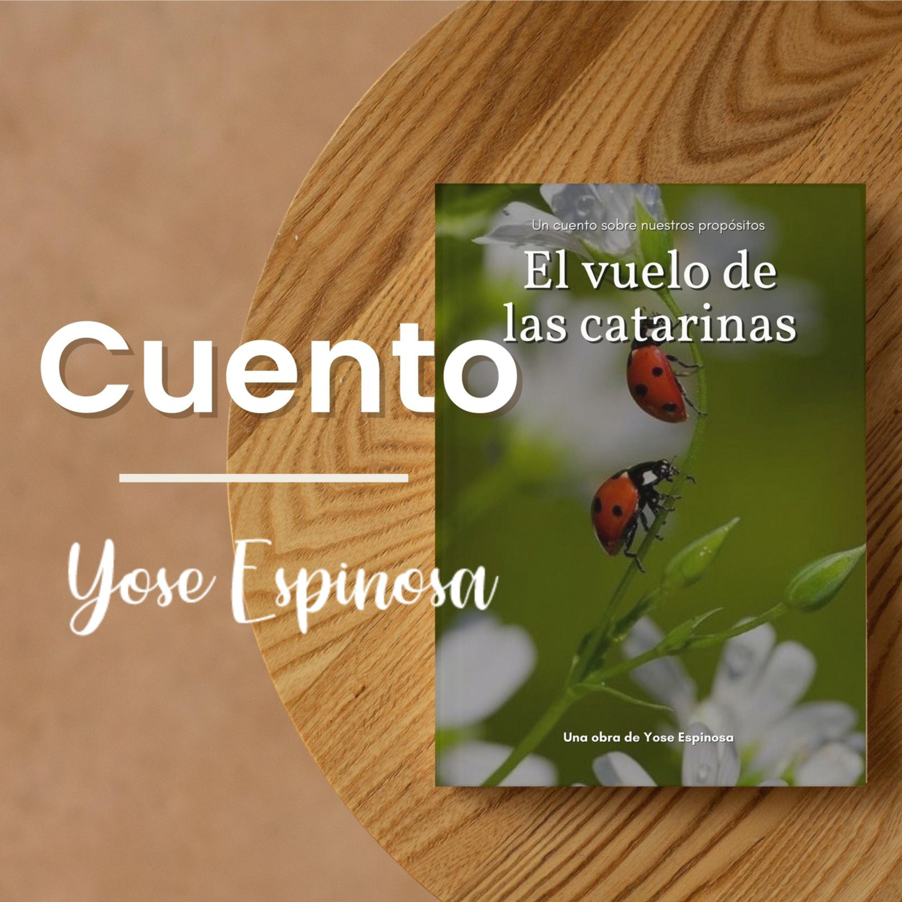 El Poder De Las Historias