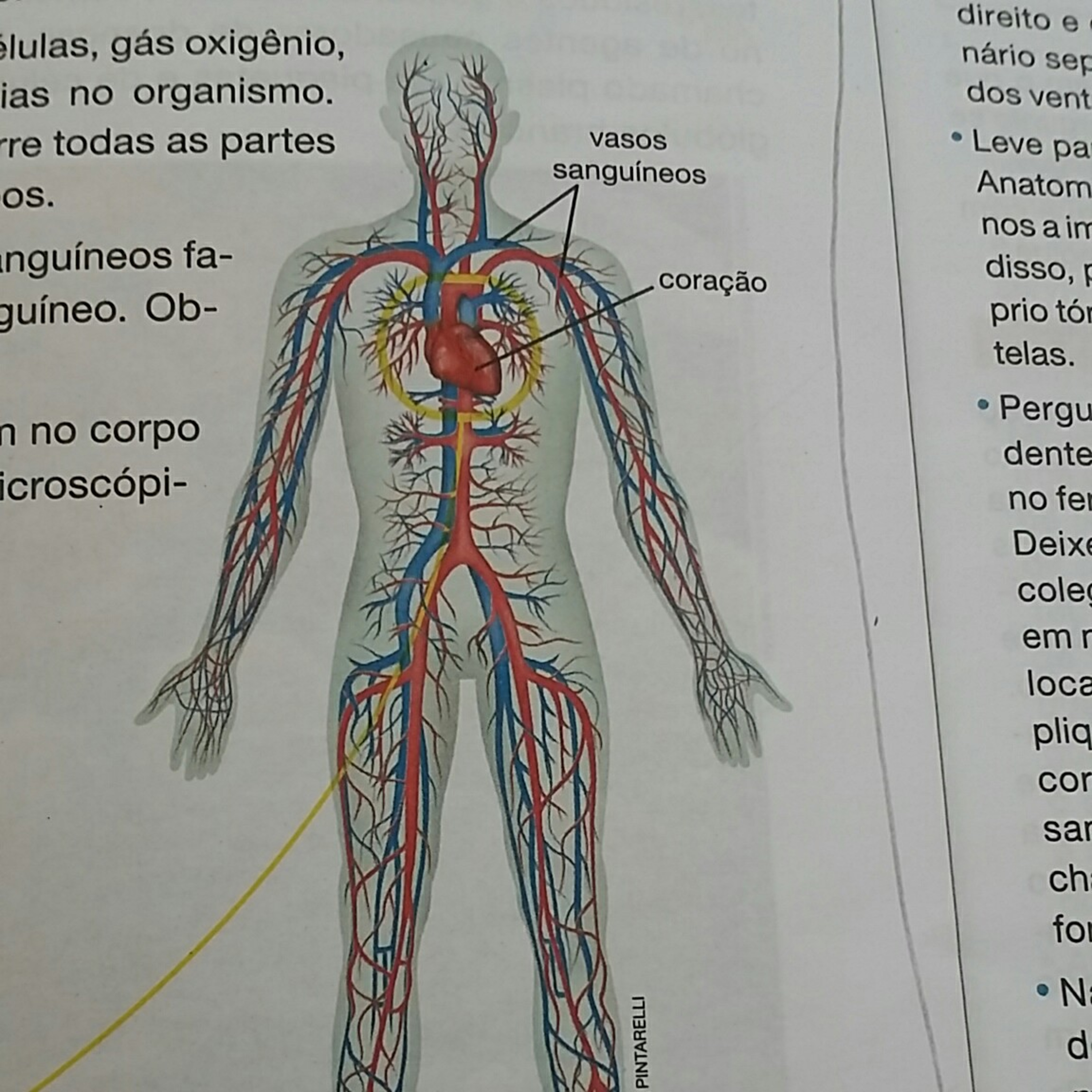 Roteiro de hoje