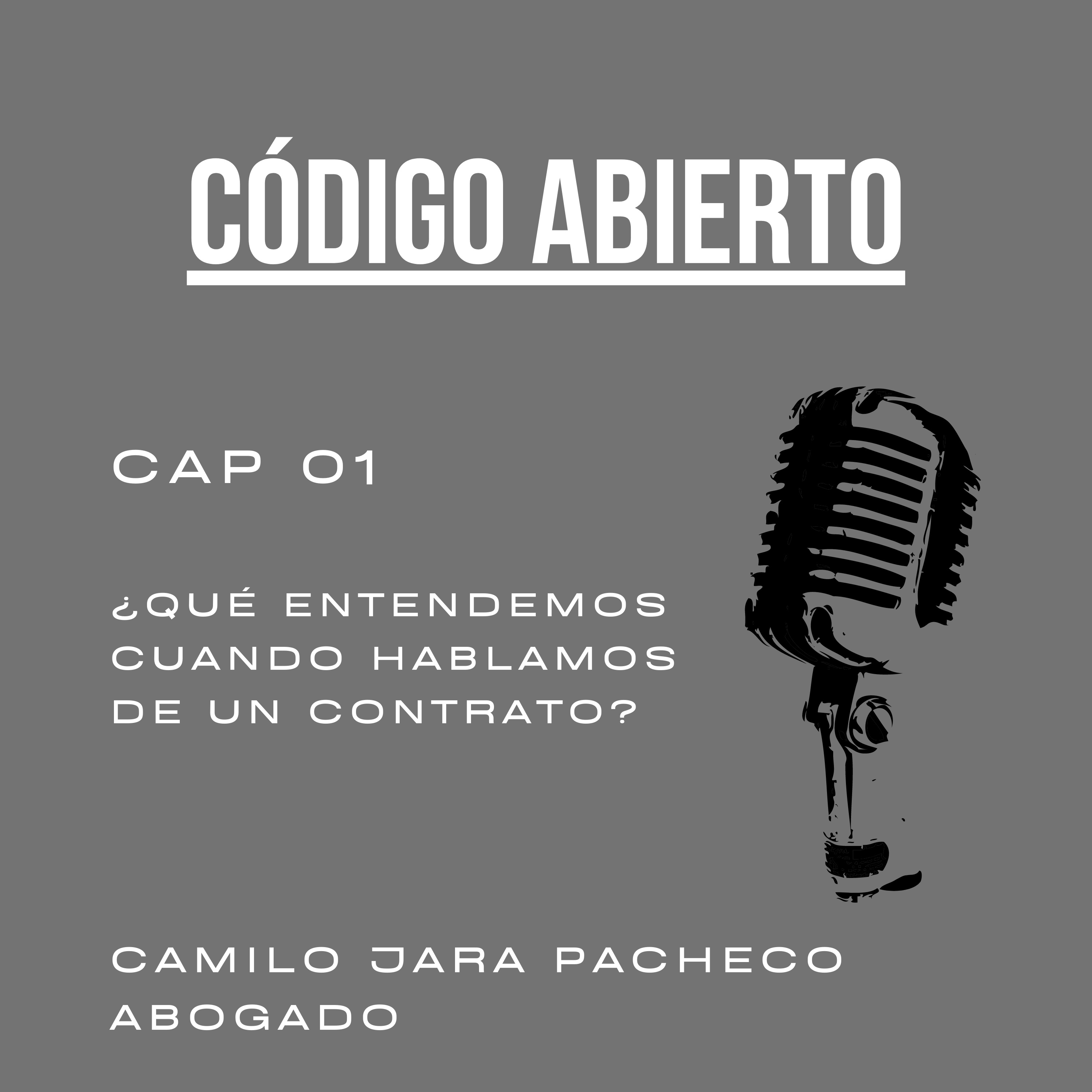 ¿Qué entendemos cuando hablamos de un contrato?