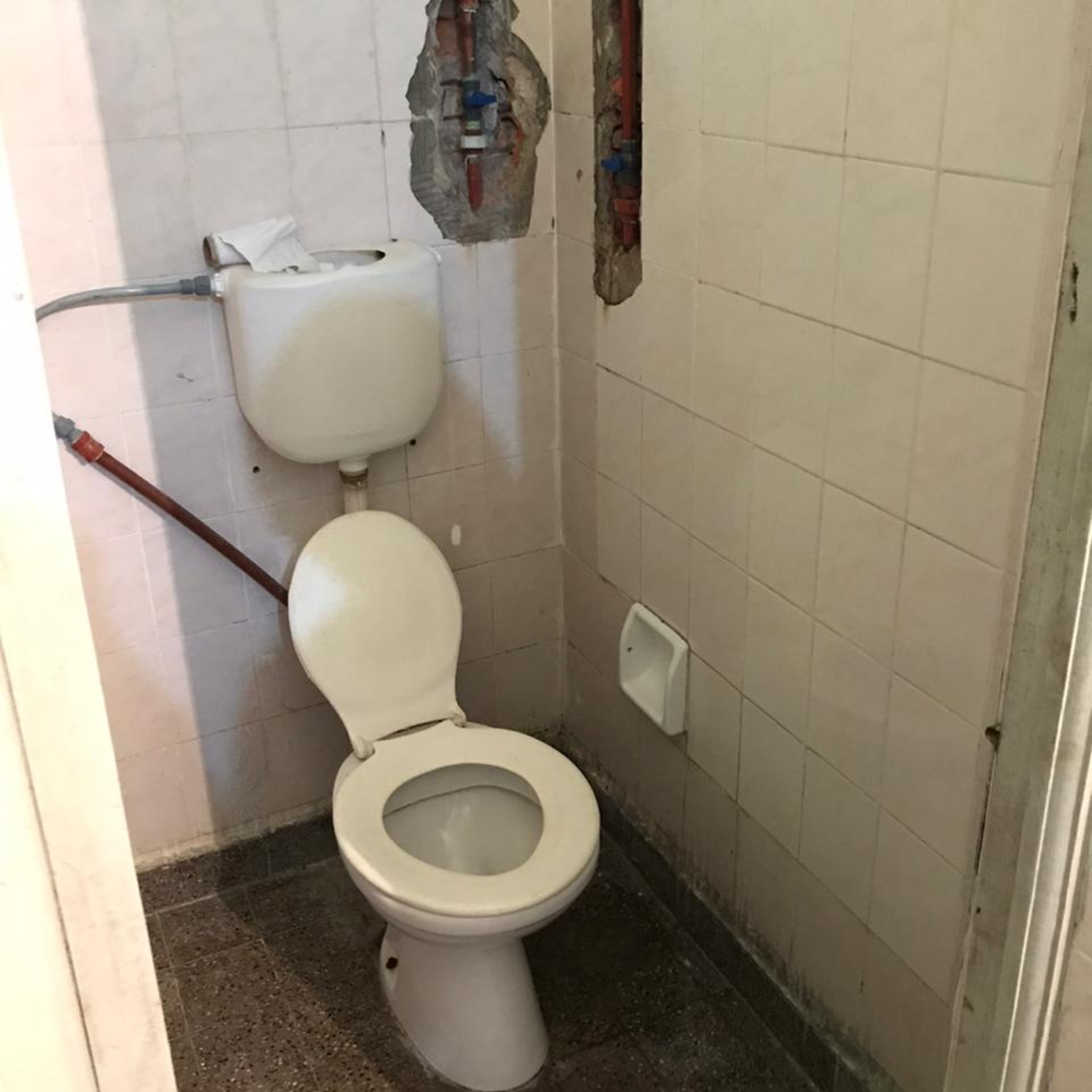 Portada de Algo está pasando Formosa