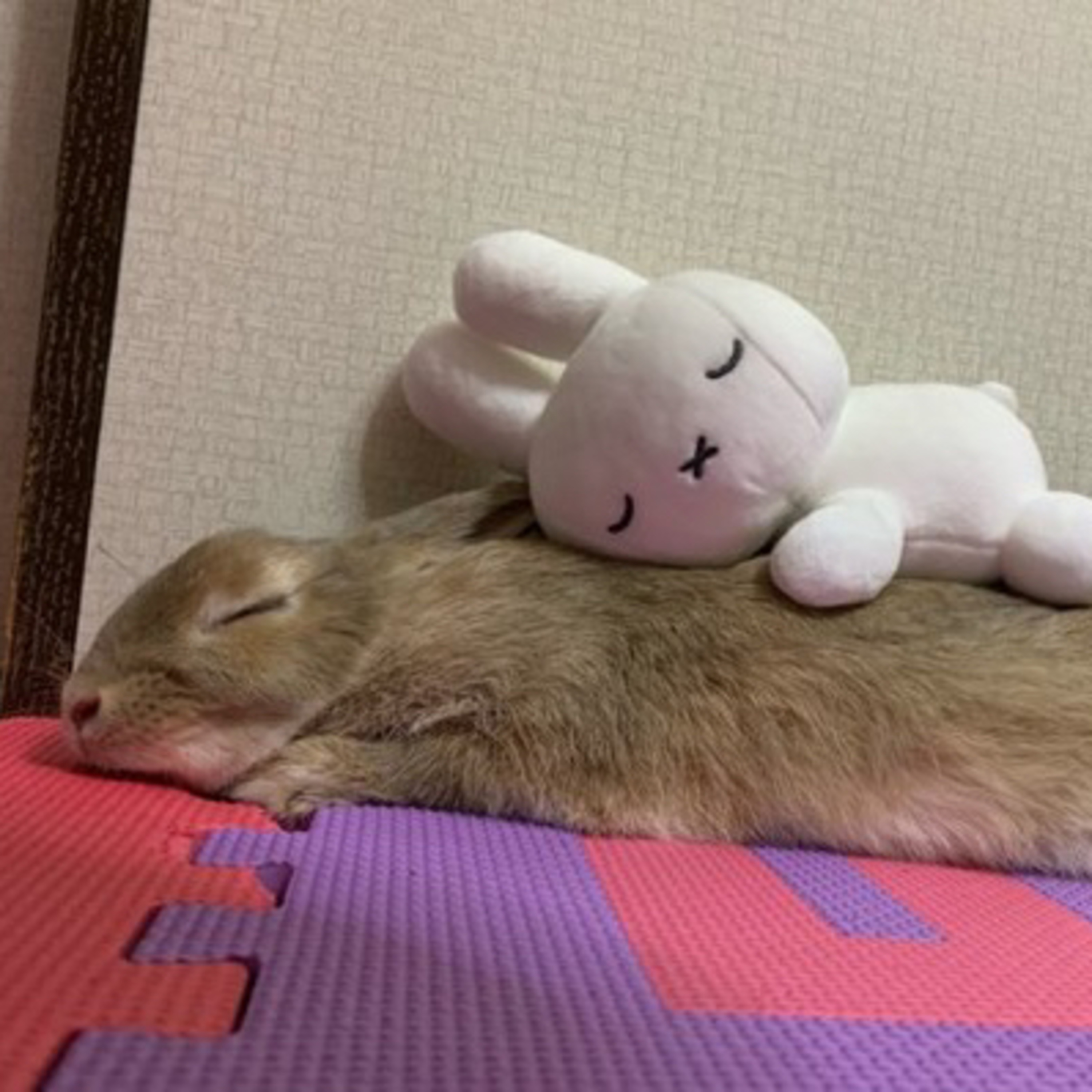 a one-take update! covid, the new year, & winter quarter