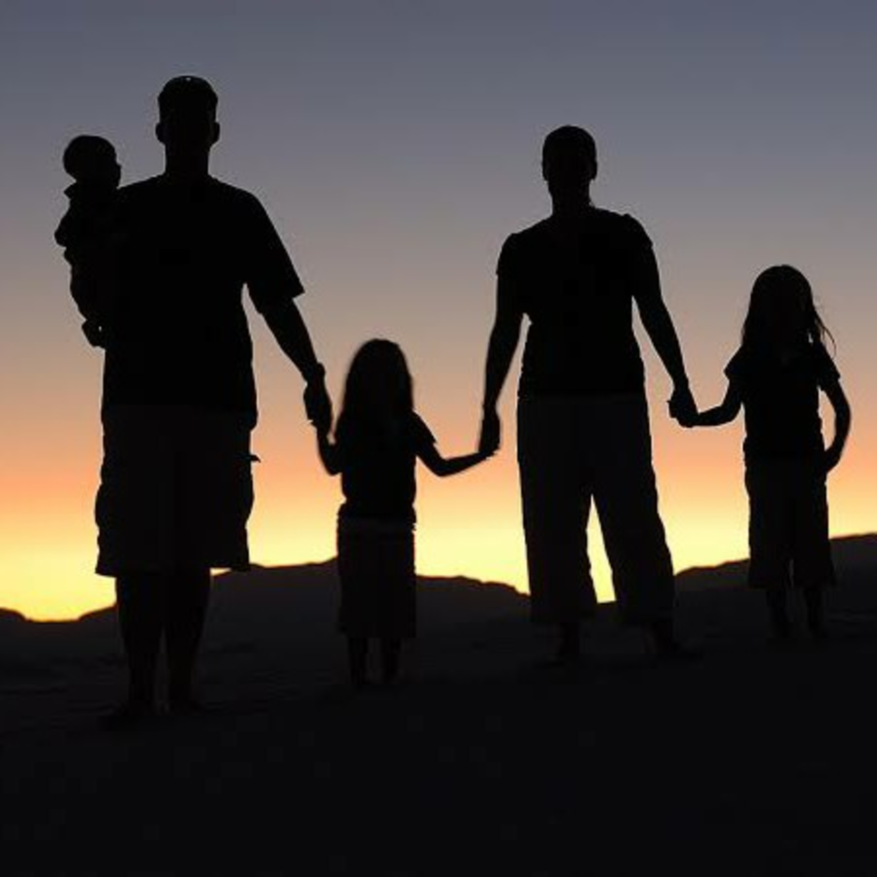 Familias en Acción