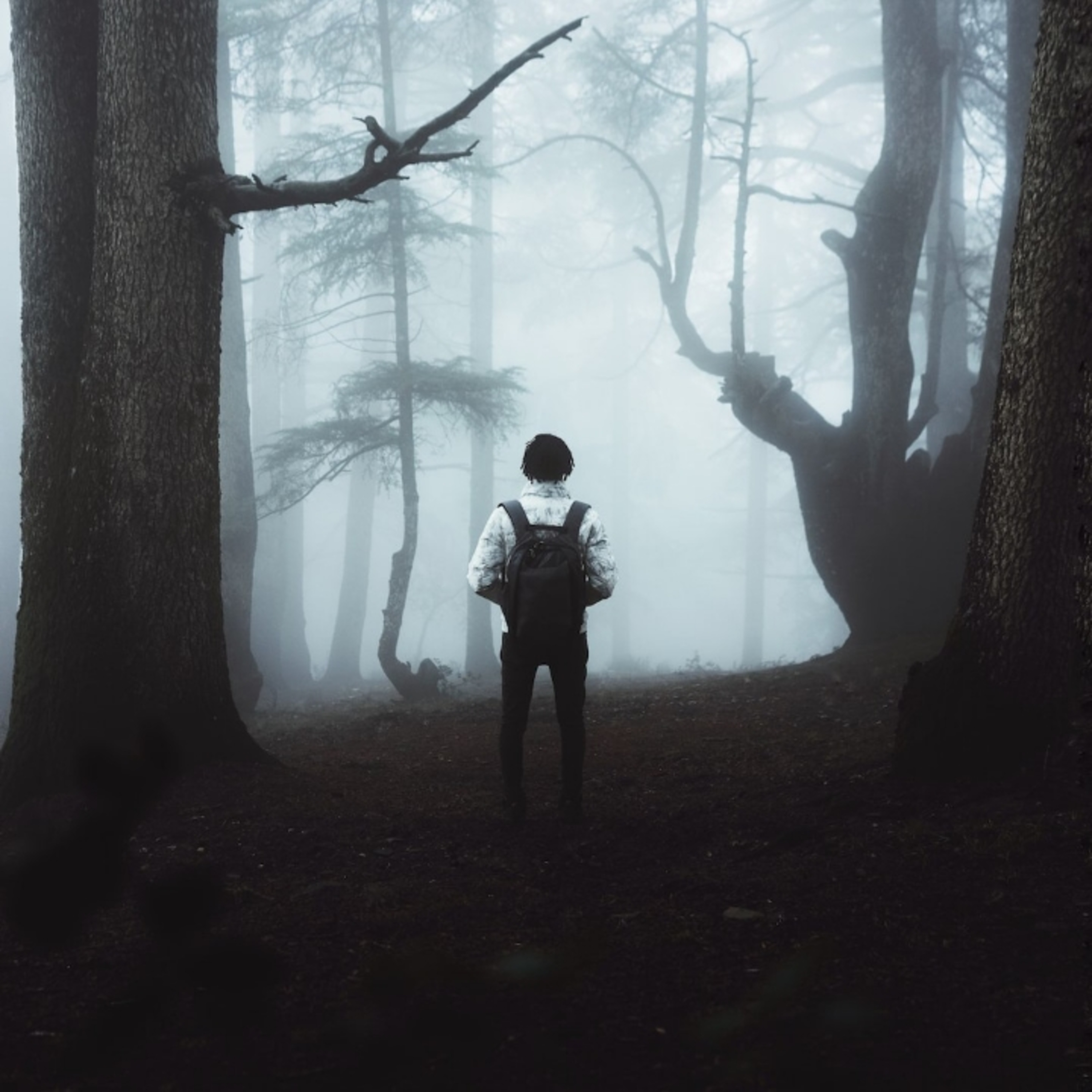 The lost bird 🕊️ episode artwork