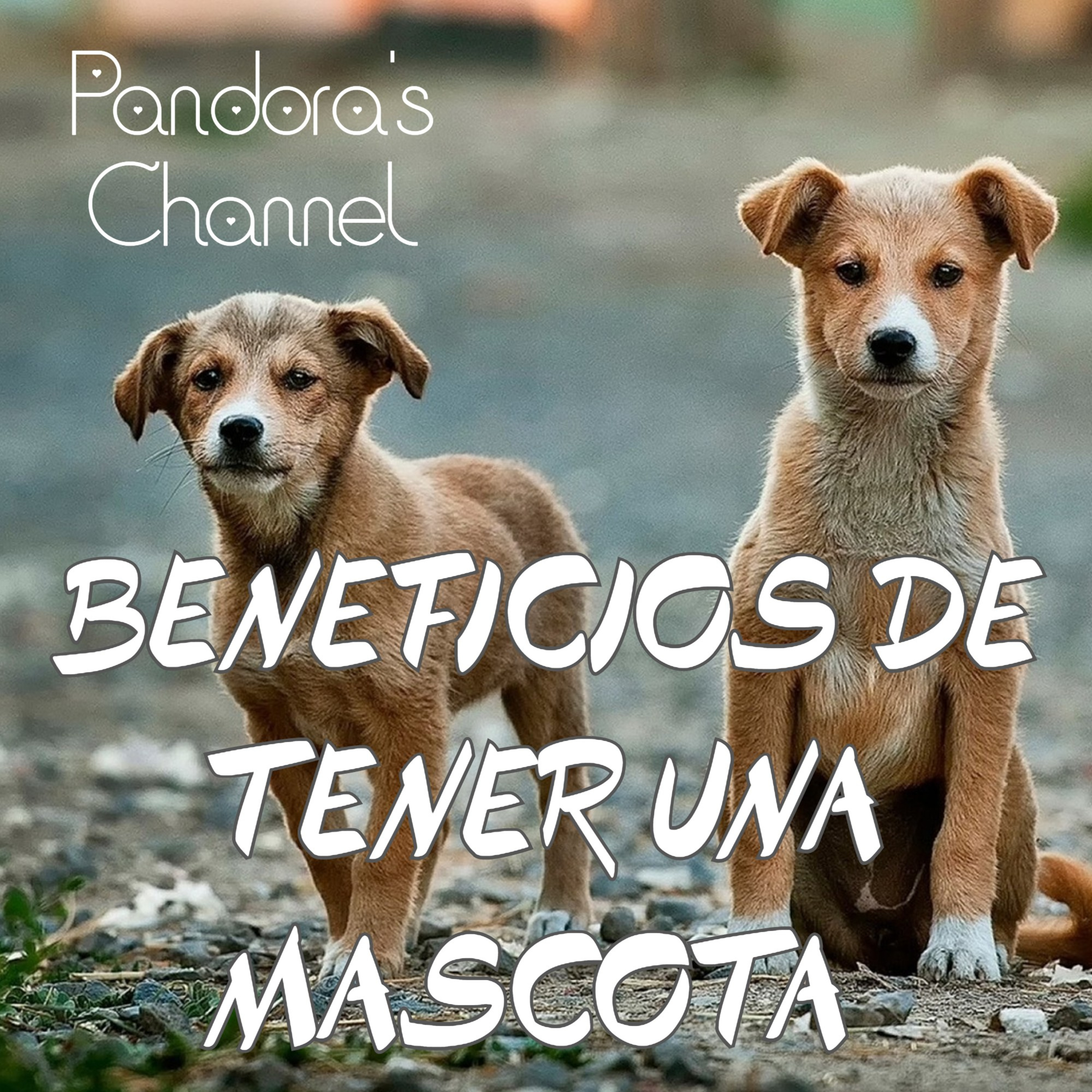 Beneficios mentales de tener mascotas. episode artwork