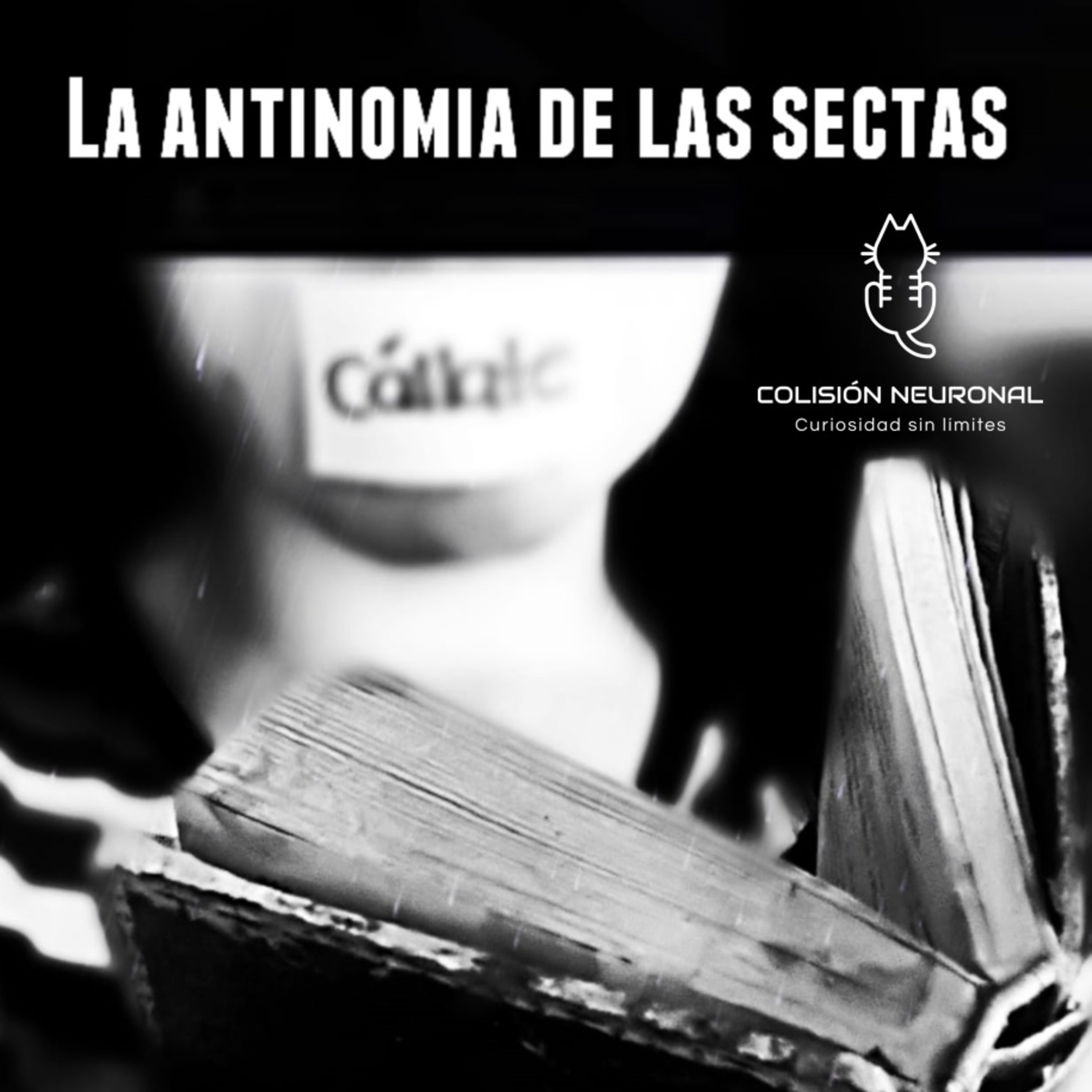 COLISIÓN NEURONAL