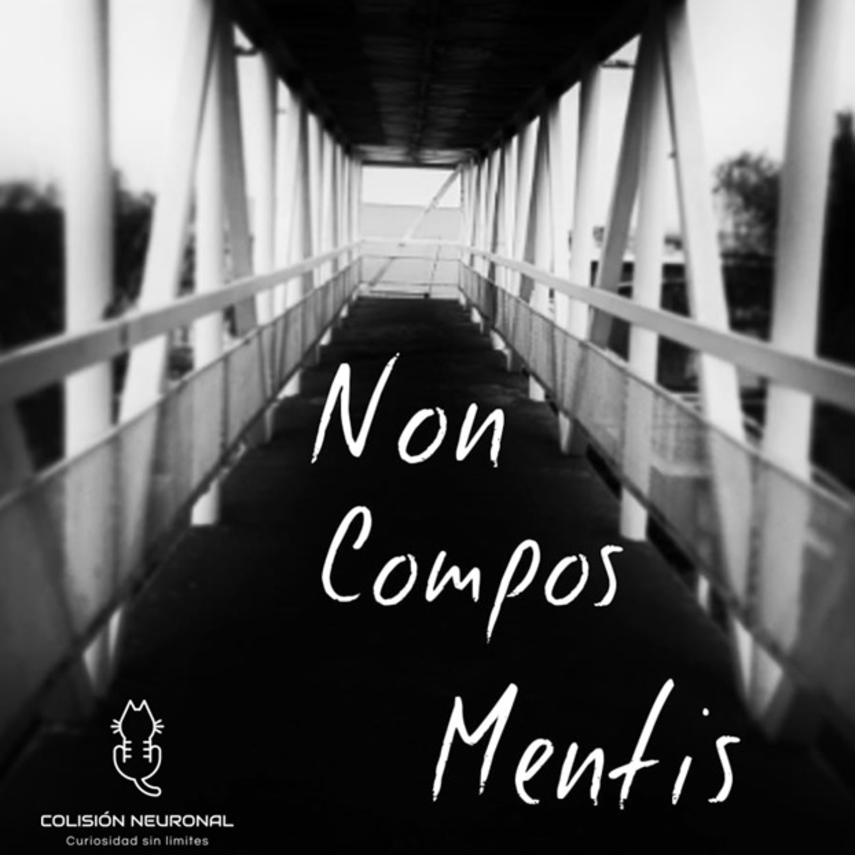 COLISIÓN NEURONAL