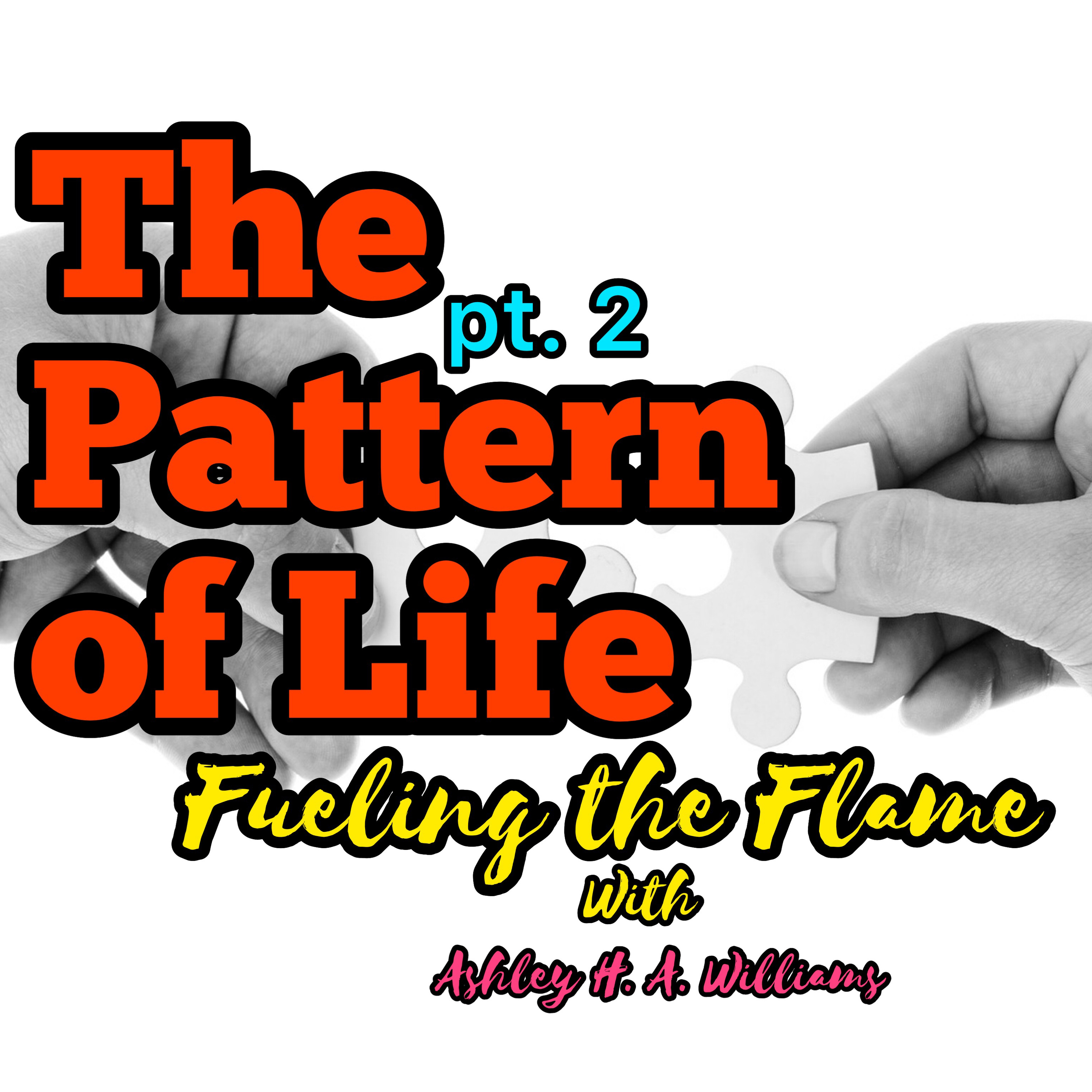 02 B- Fueling the Flame "The Pattern of Life" episode artwork