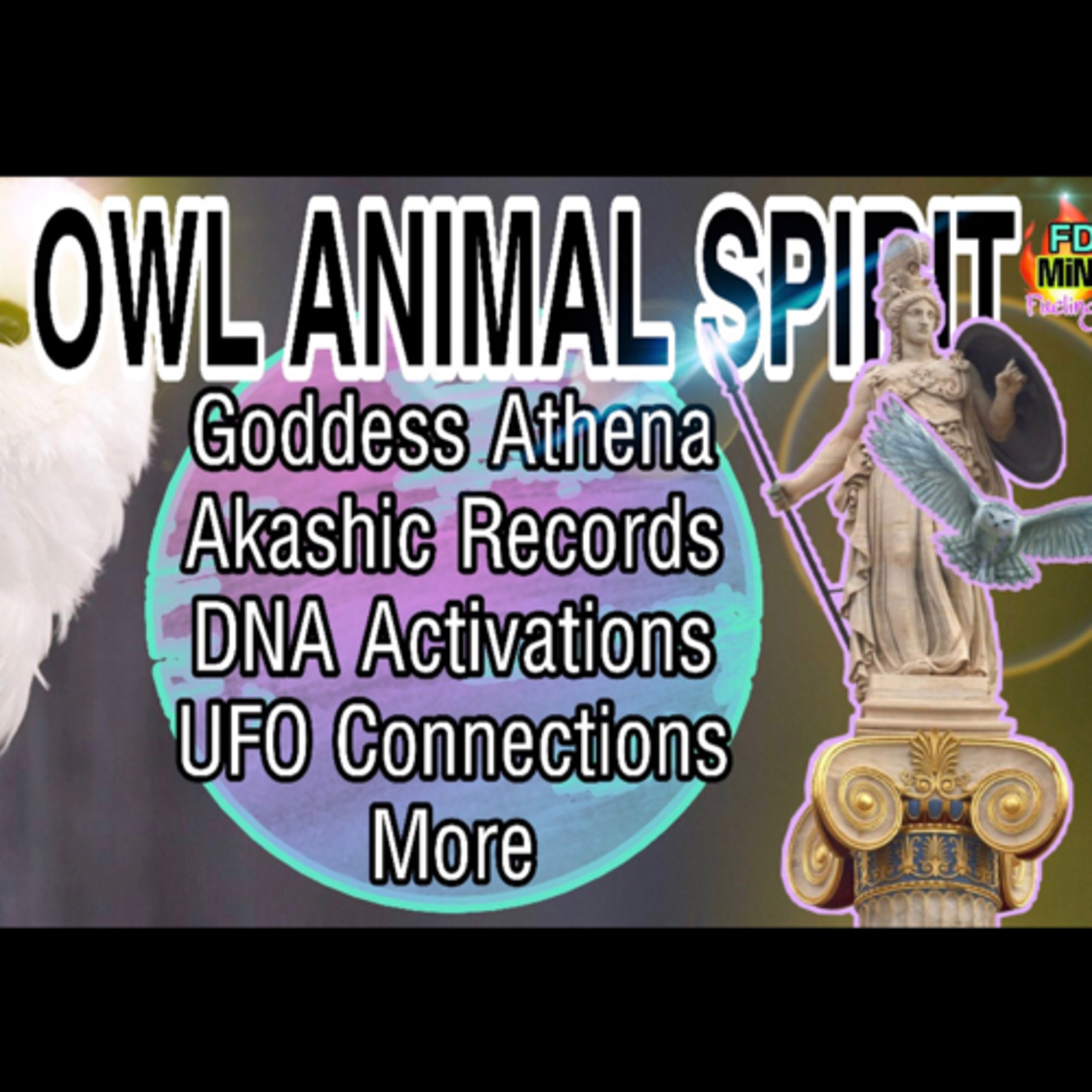 48- FUELING THE FLAME- 🦉OWL SPIRIT ANIMAL-THE WISE MESSENGER•KEEPER OF AKASHIC RECORDS UFO  episode artwork
