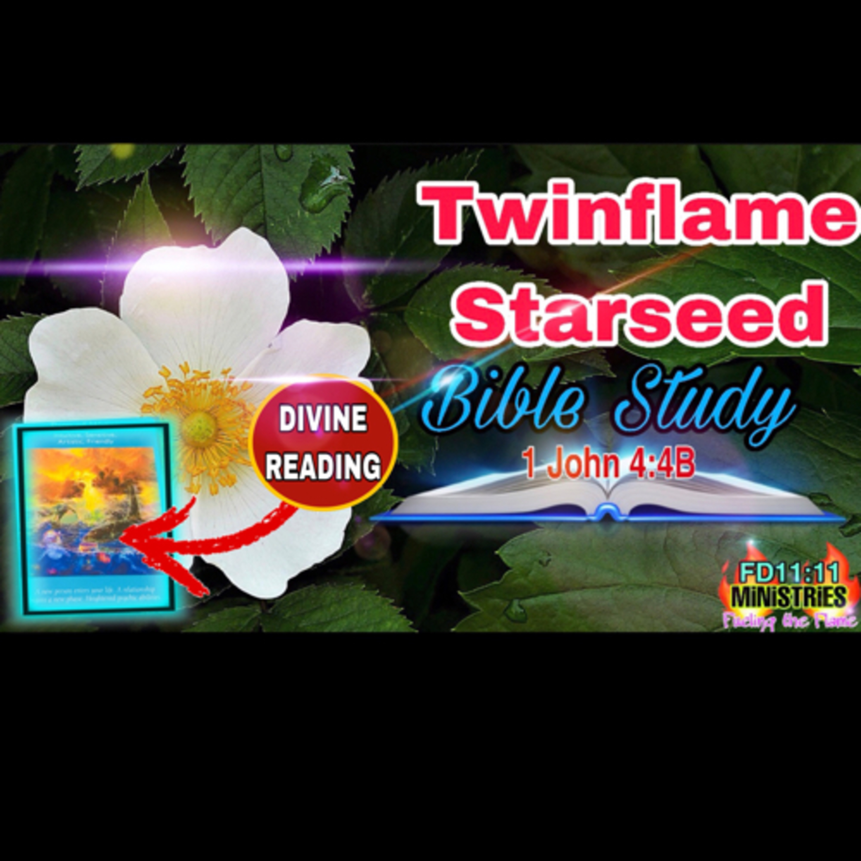 46- FUELING THE FLAME -THE GREATNESS WITHIN YOU ✨ TWINFLAME STARSEED BIBLE STUDY