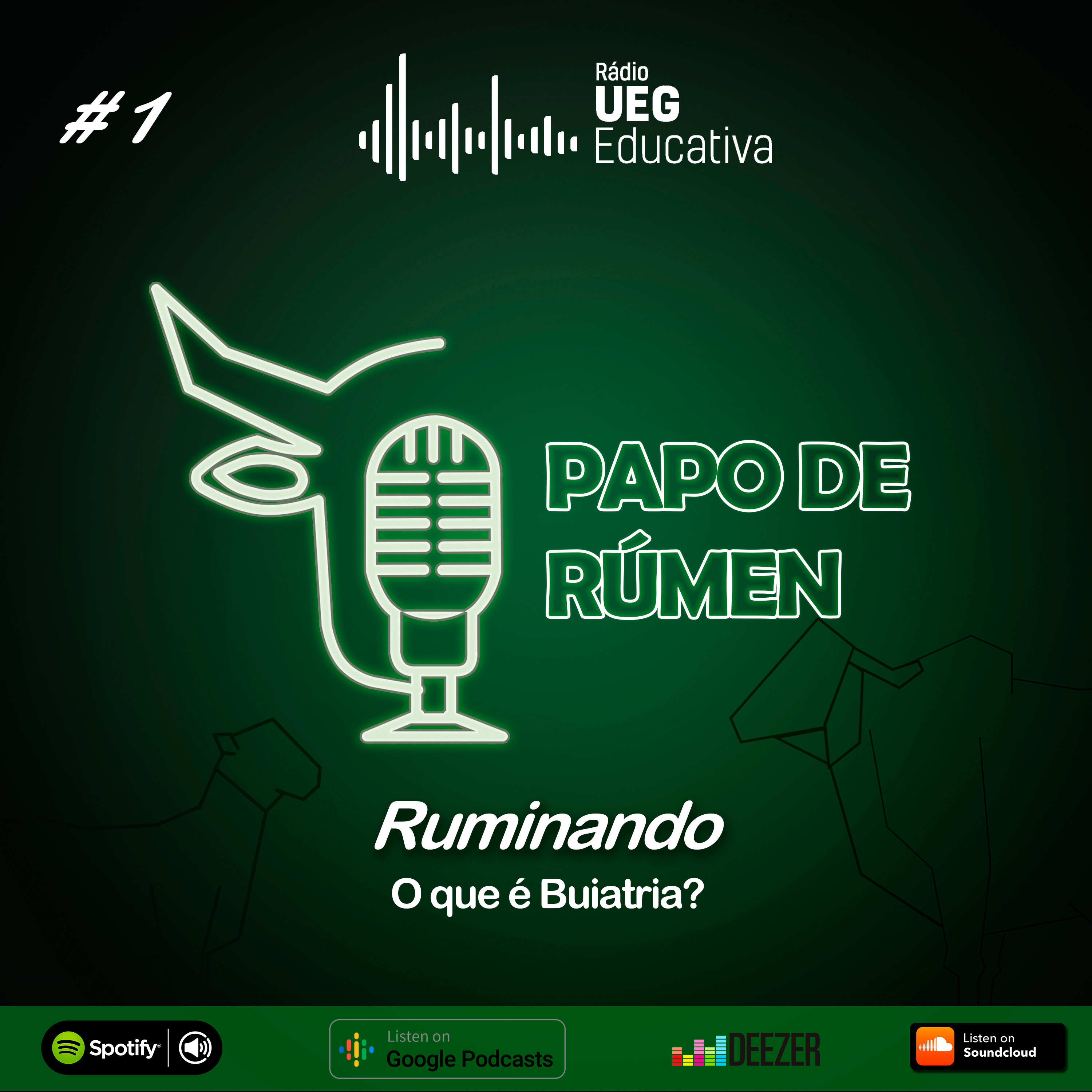 Papo de Rúmen