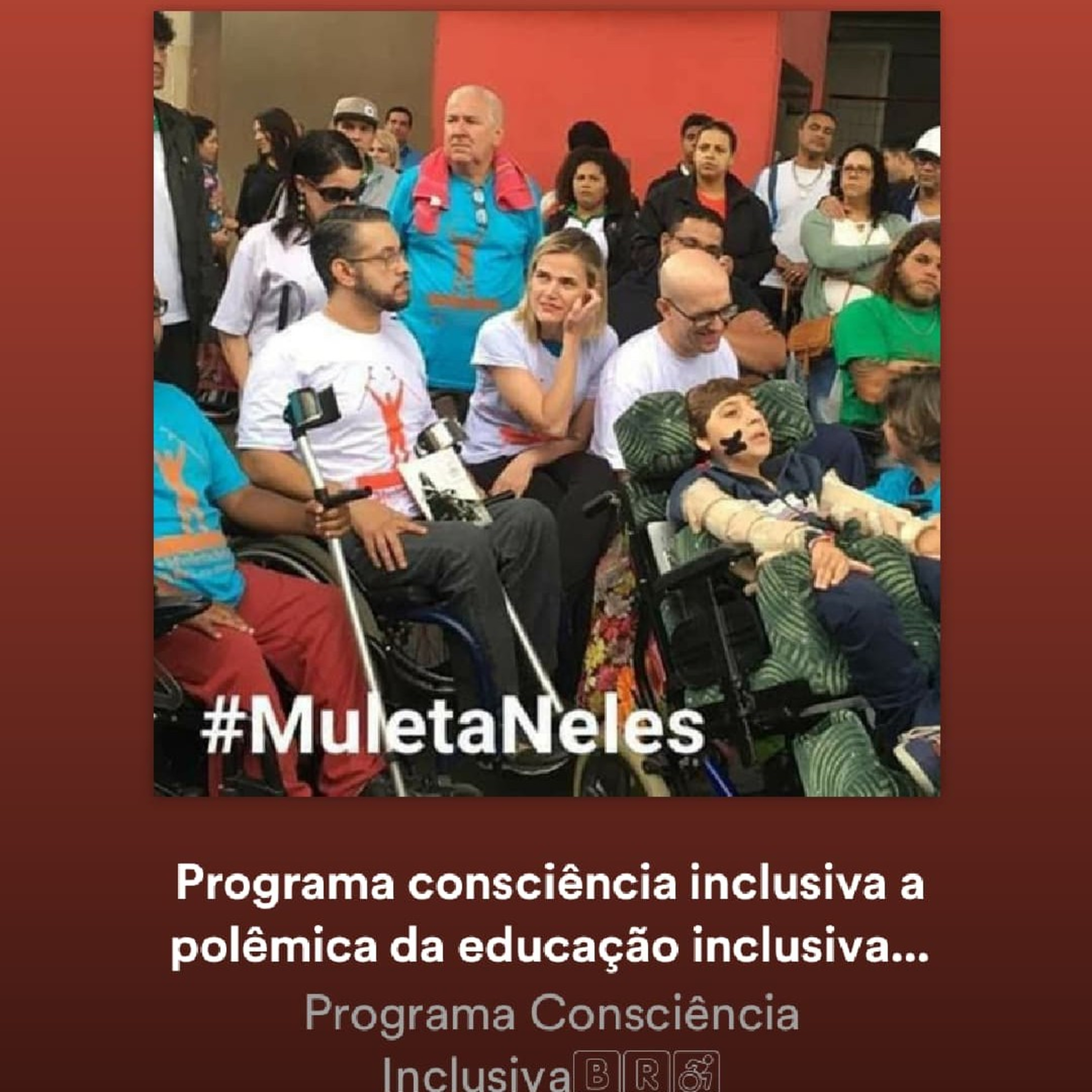 Programa Consciência Inclusiva🇧🇷♿