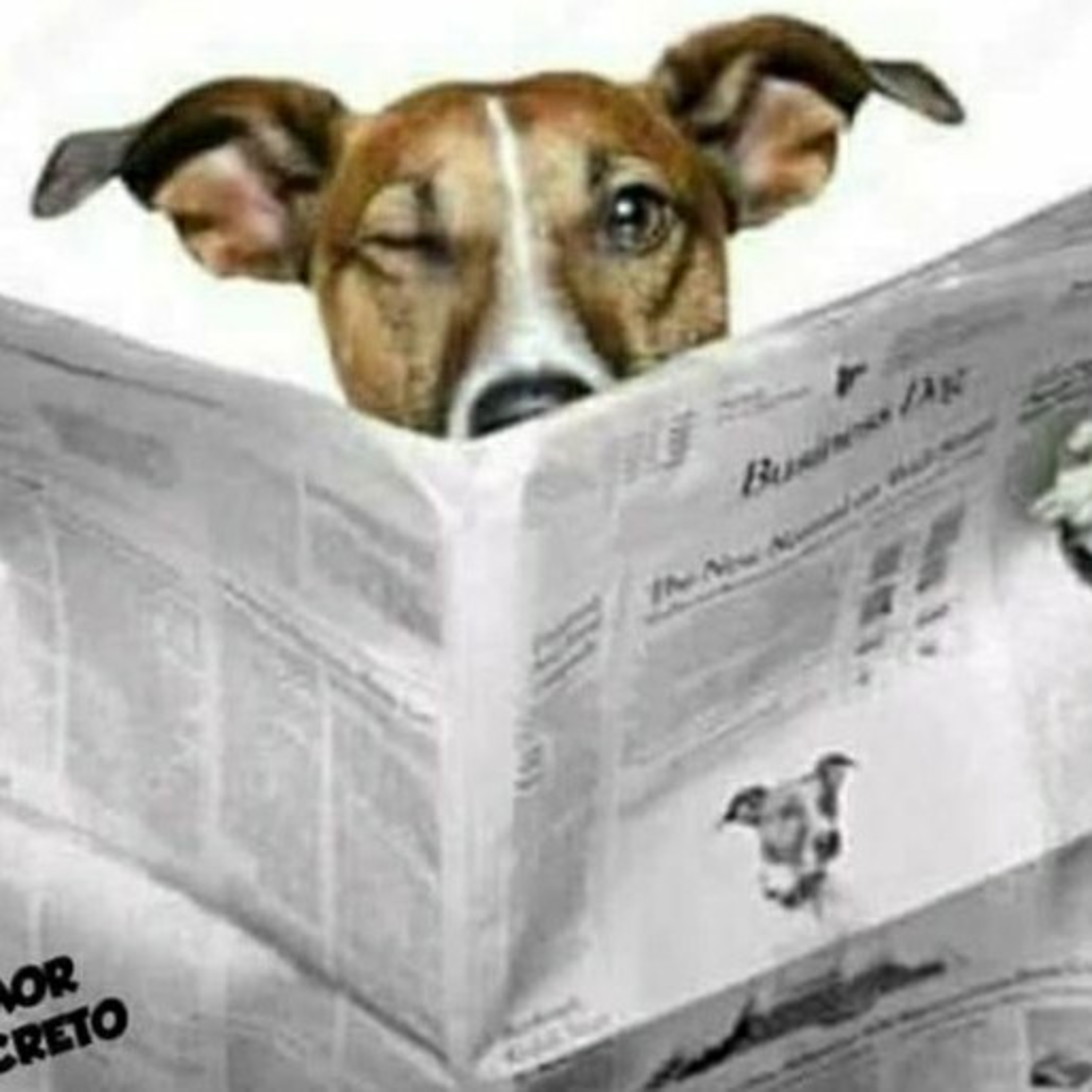 Programa Consciência Inclusiva🇧🇷♿