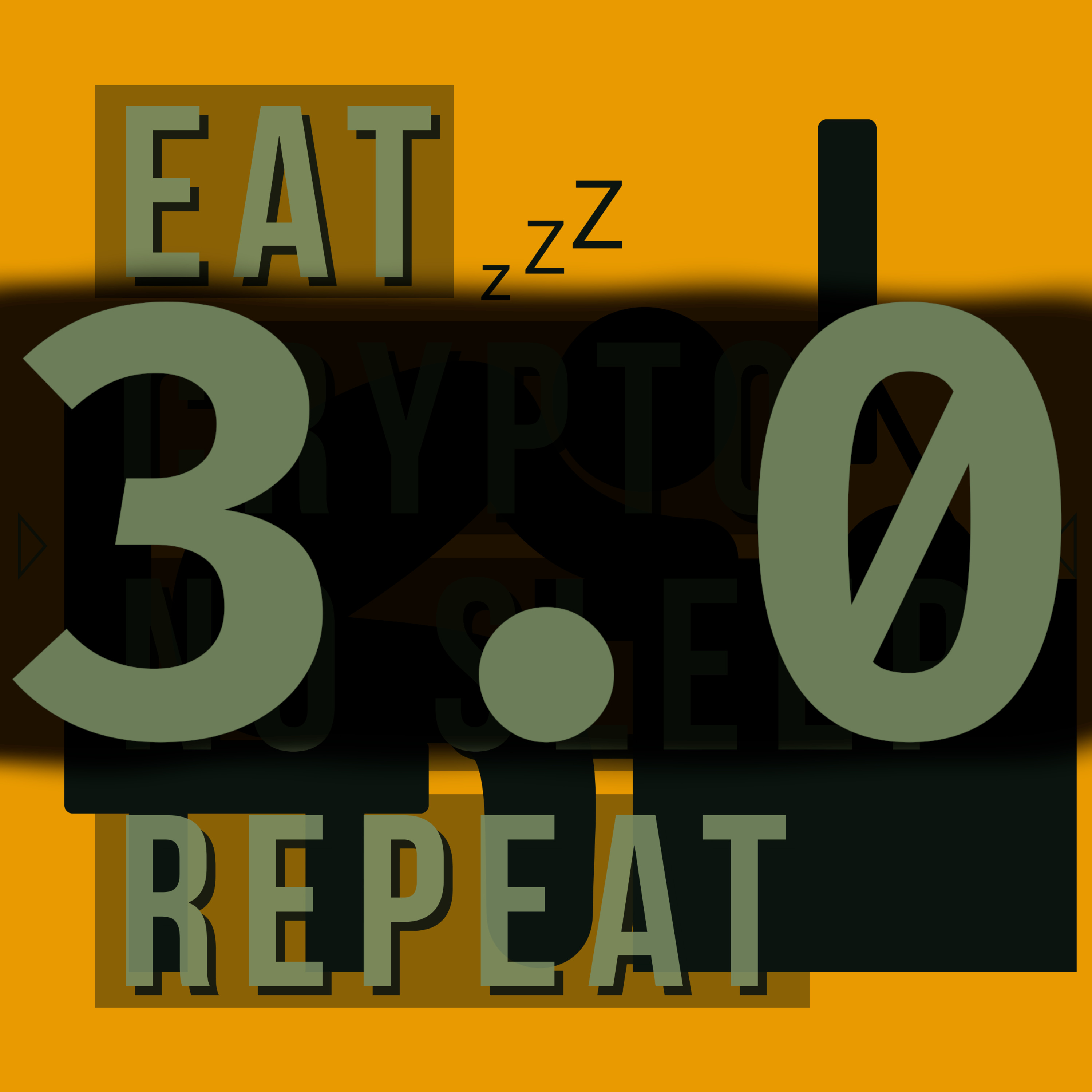 16 | Web 3.0 | History & Opinions