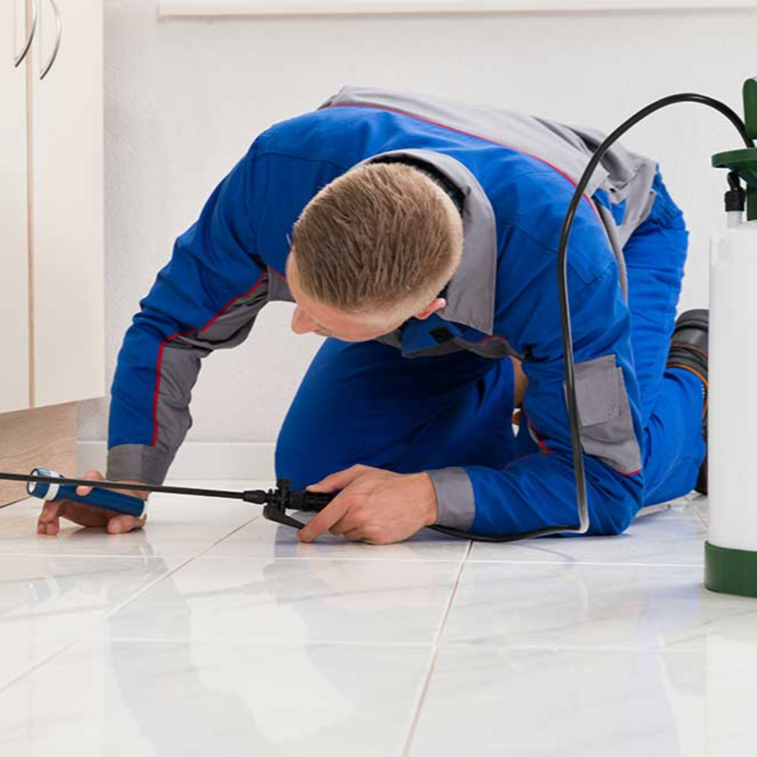 Professional Pest Control Service in Lakewood Ranch.