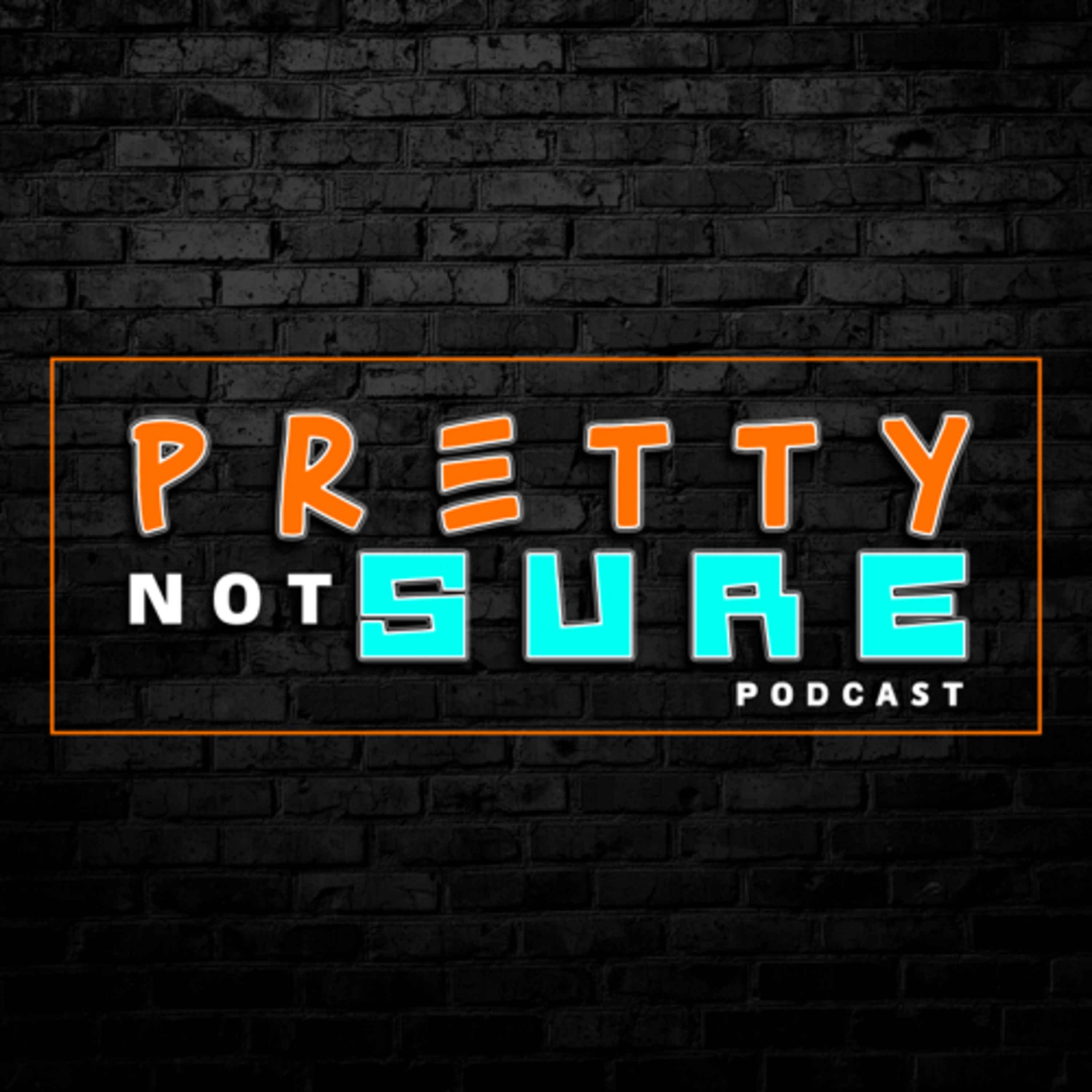 The PrettyNotSure Podcast Ep. 4 Punch Her in the Face