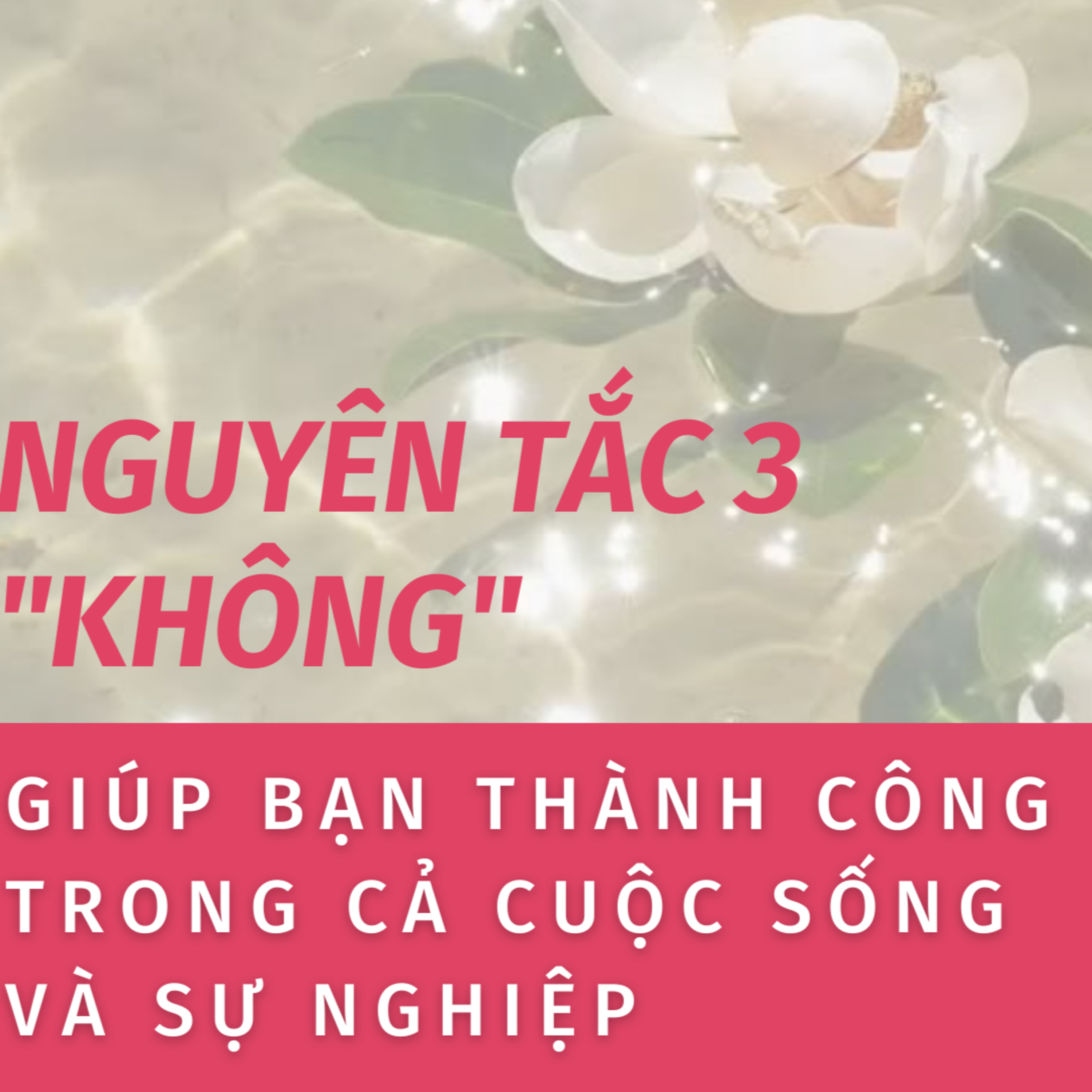 HIỂU NGUYÊN TẮC 3 "KHÔNG" GIÚP BẠN THÀNH CÔNG TRONG CẢ CUỘC SỐNG VÀ SỰ NGHIỆP episode artwork