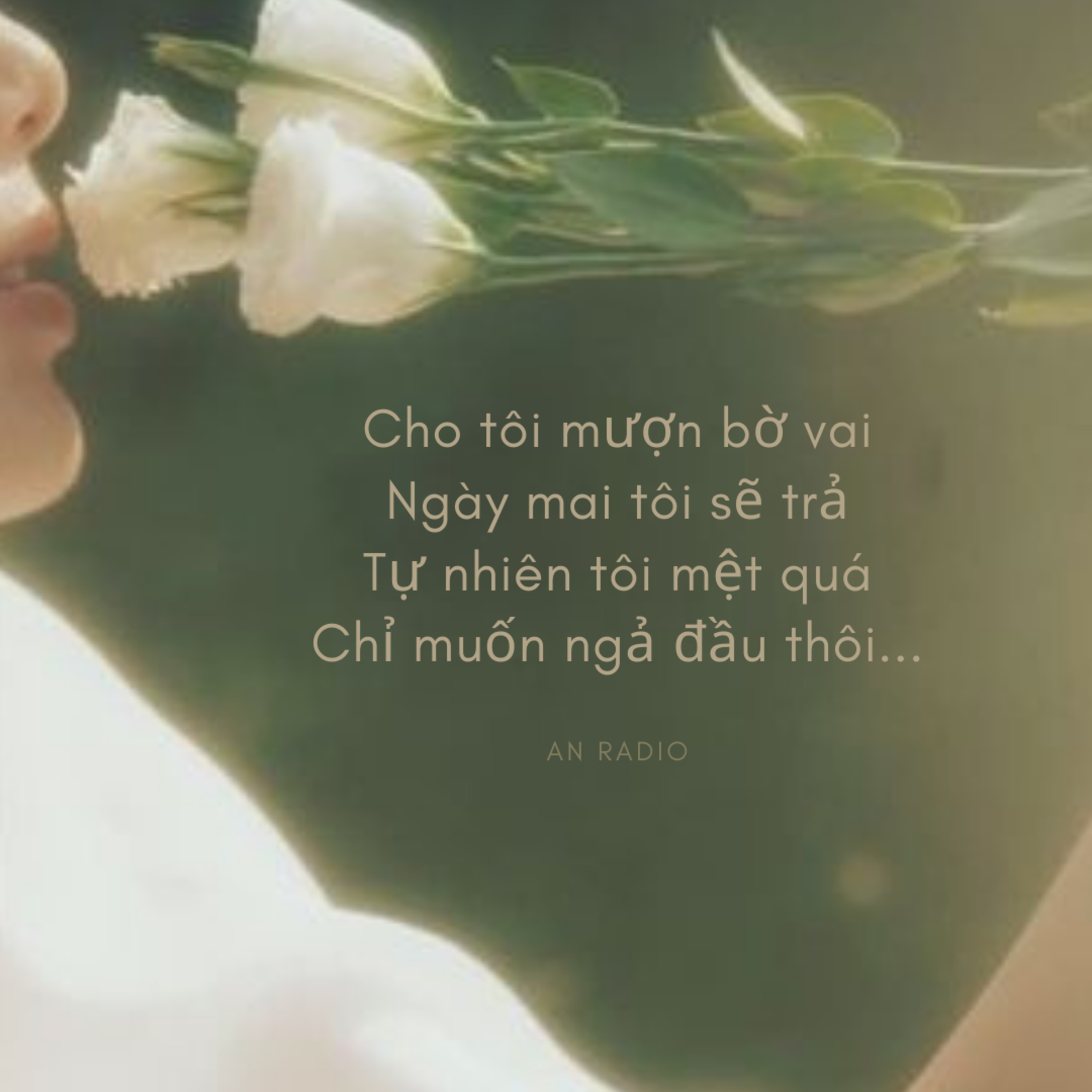 RADIO TÂM SỰ: HỌC CÁCH LÀM BẠN VỚI CÔ ĐƠN episode artwork