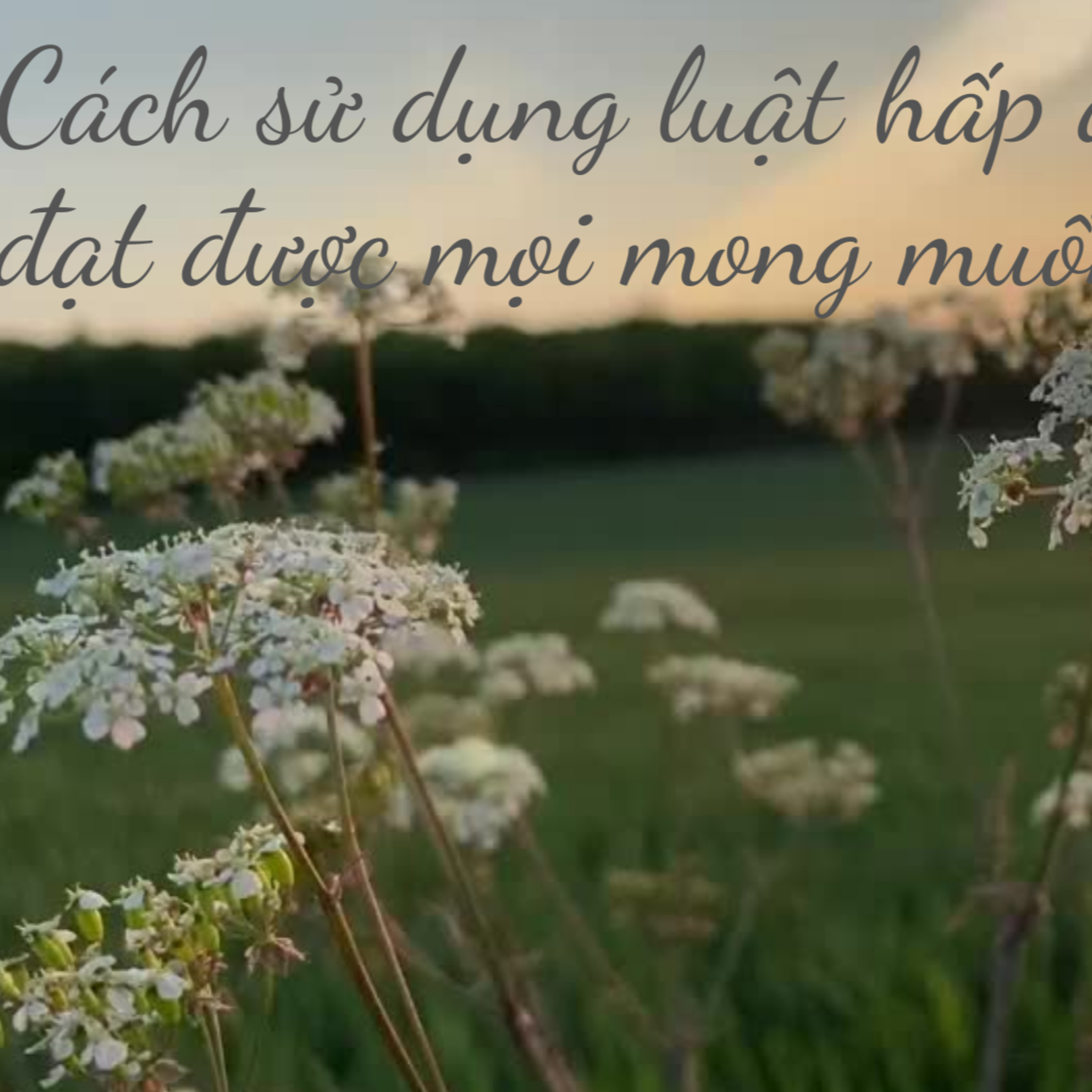 Cách sử dụng Luật Hấp dẫn đạt được mọi mong muốn không phải ai cũng biết episode artwork
