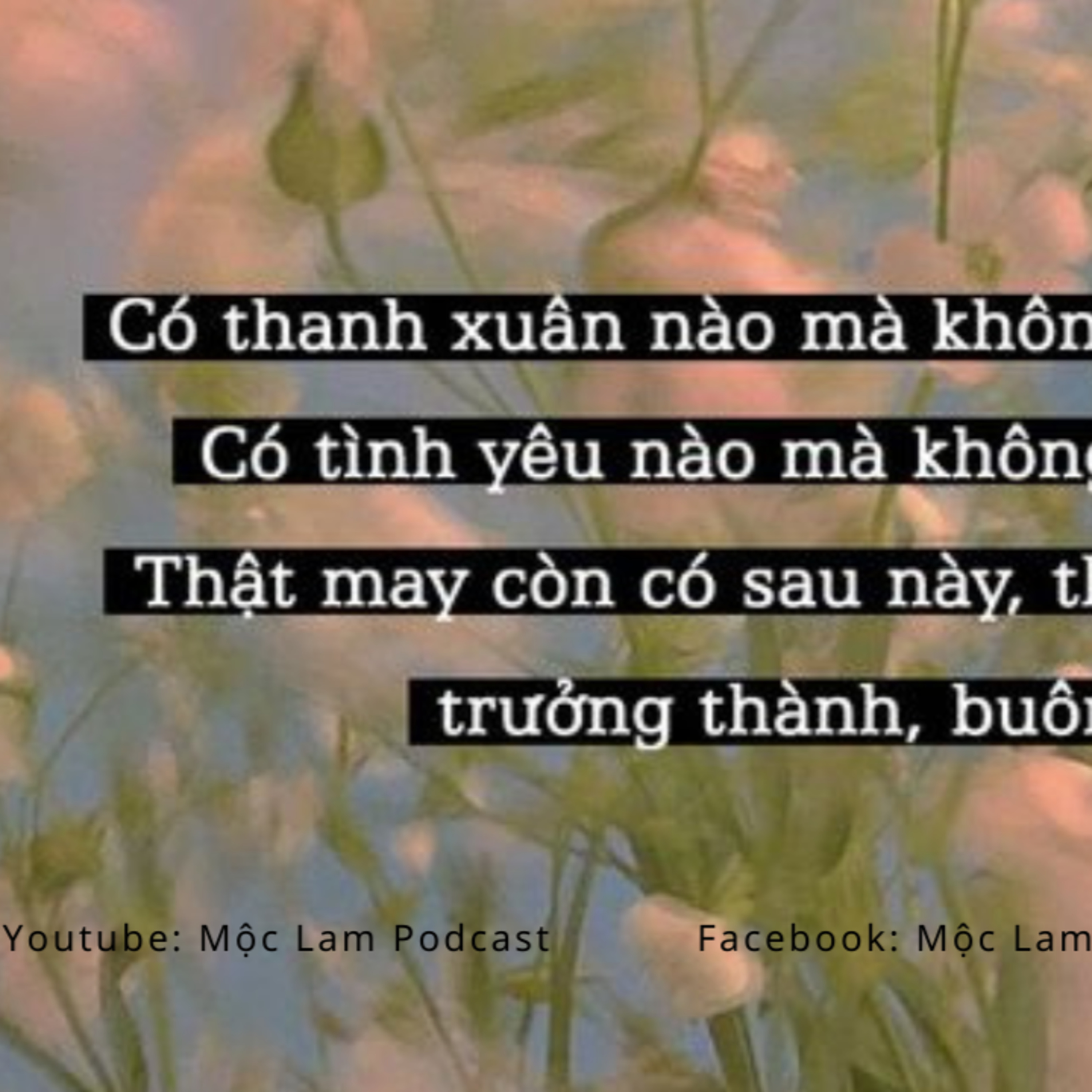 Tình Xa Lúc Ban Chiều, Hãy để cho em nhớ anh thêm chút nữa... - Radio Tâm sự episode artwork