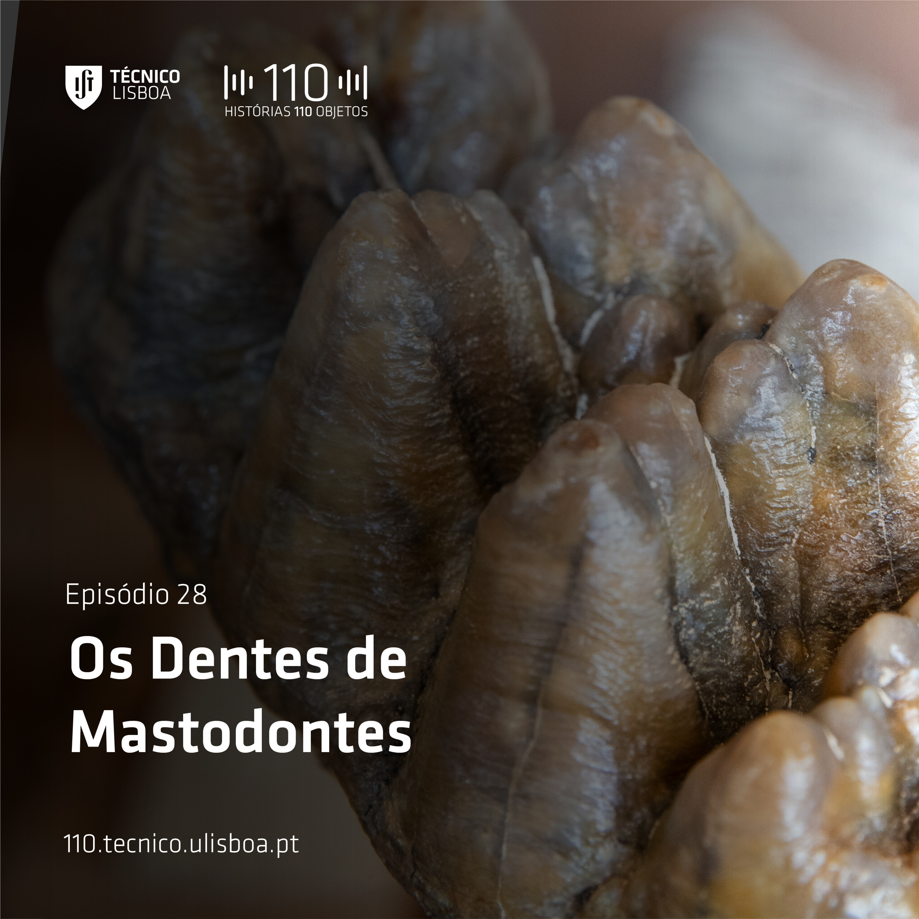 110 Histórias | 110 Objetos - EXTRAS