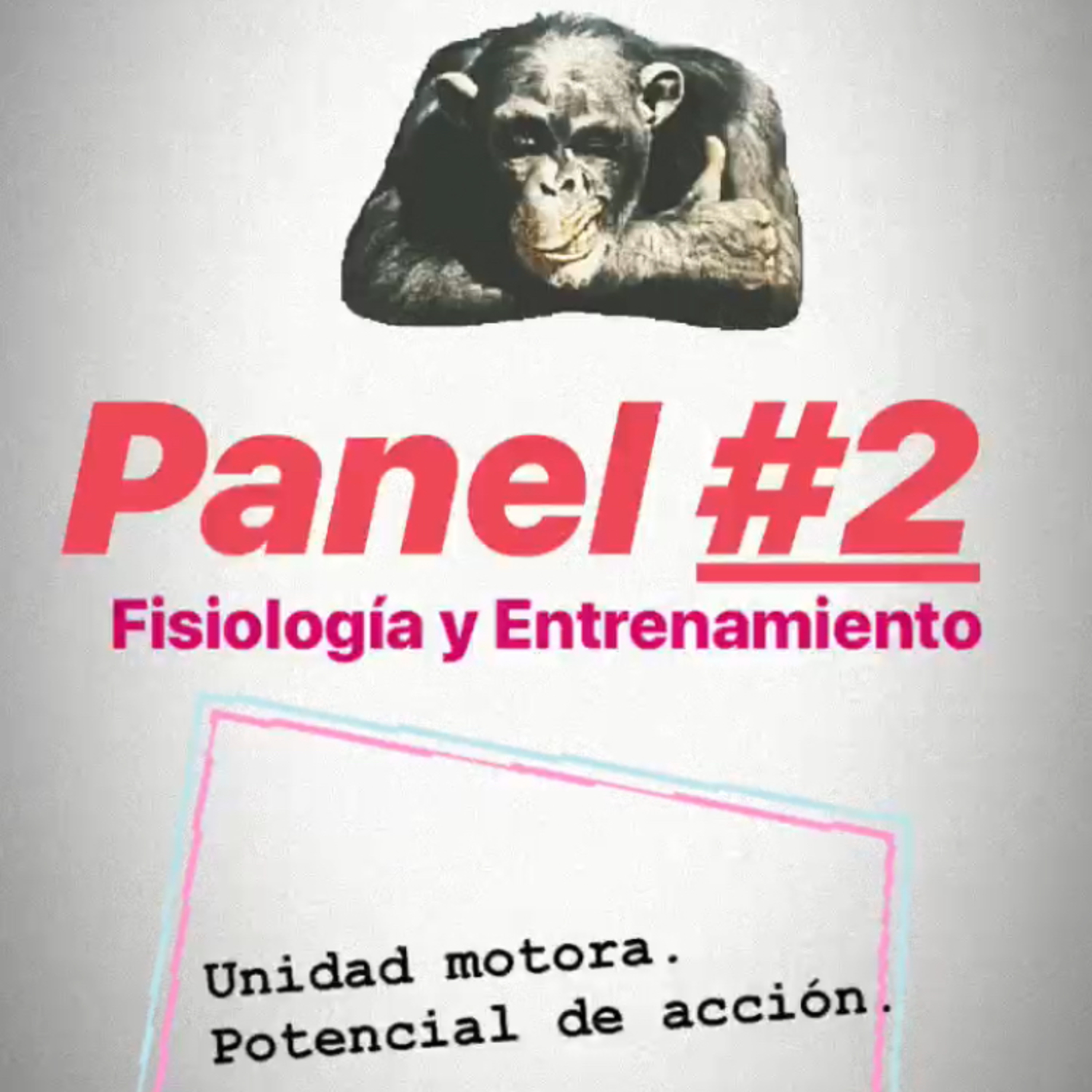 Homosapien Condición Física