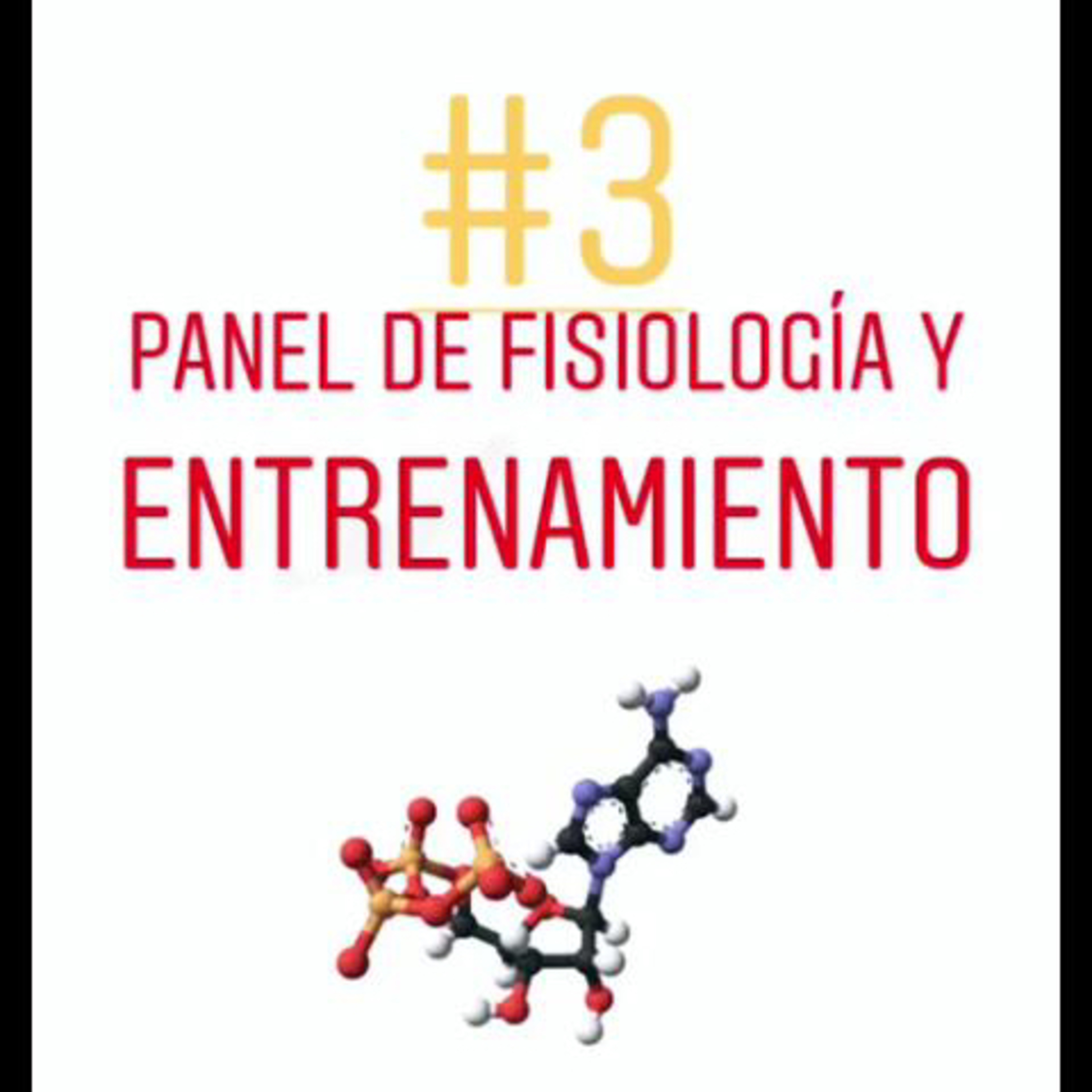 Homosapien Condición Física