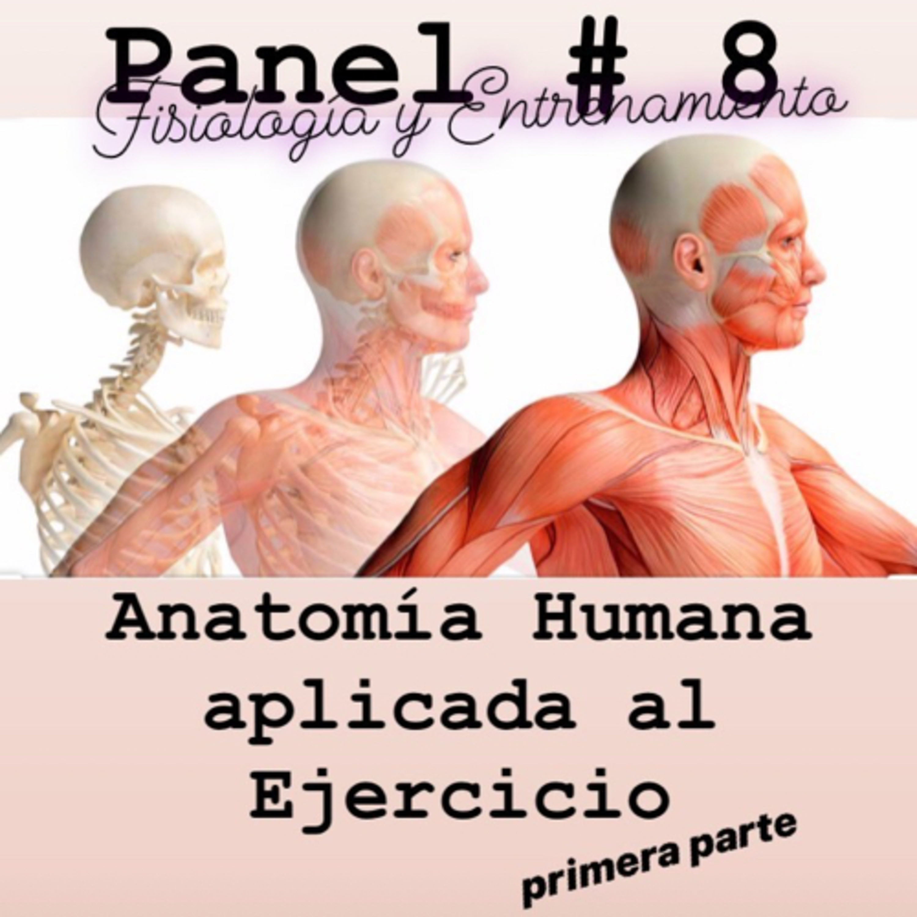 Homosapien Condición Física