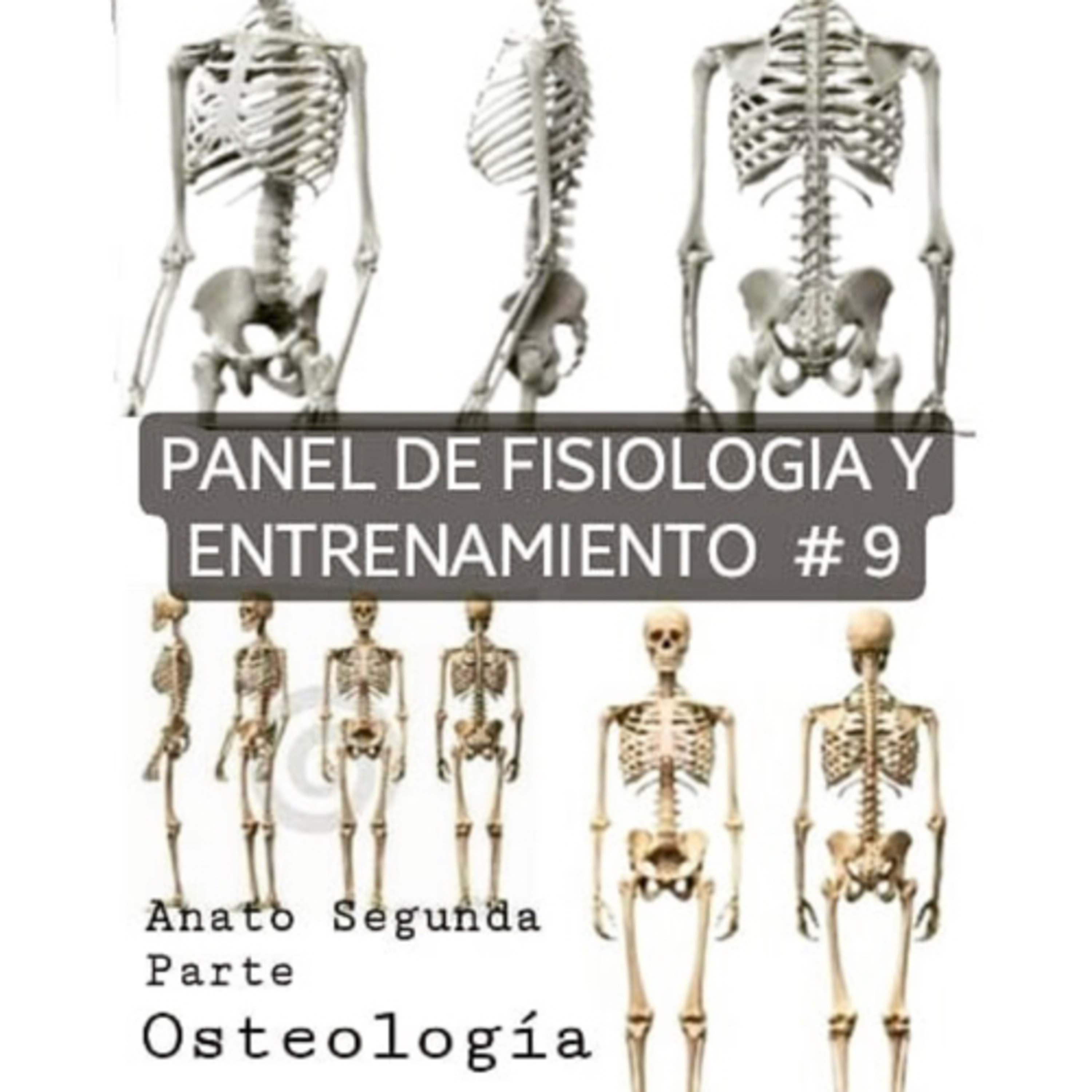 Homosapien Condición Física