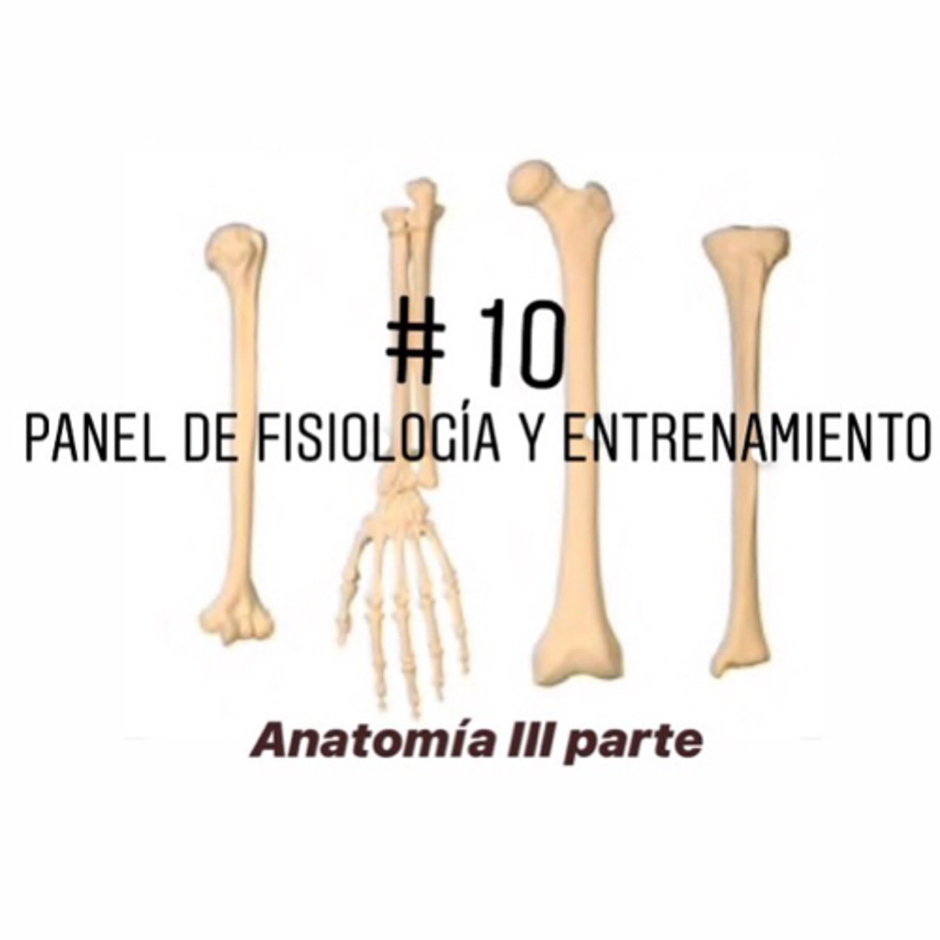 Homosapien Condición Física