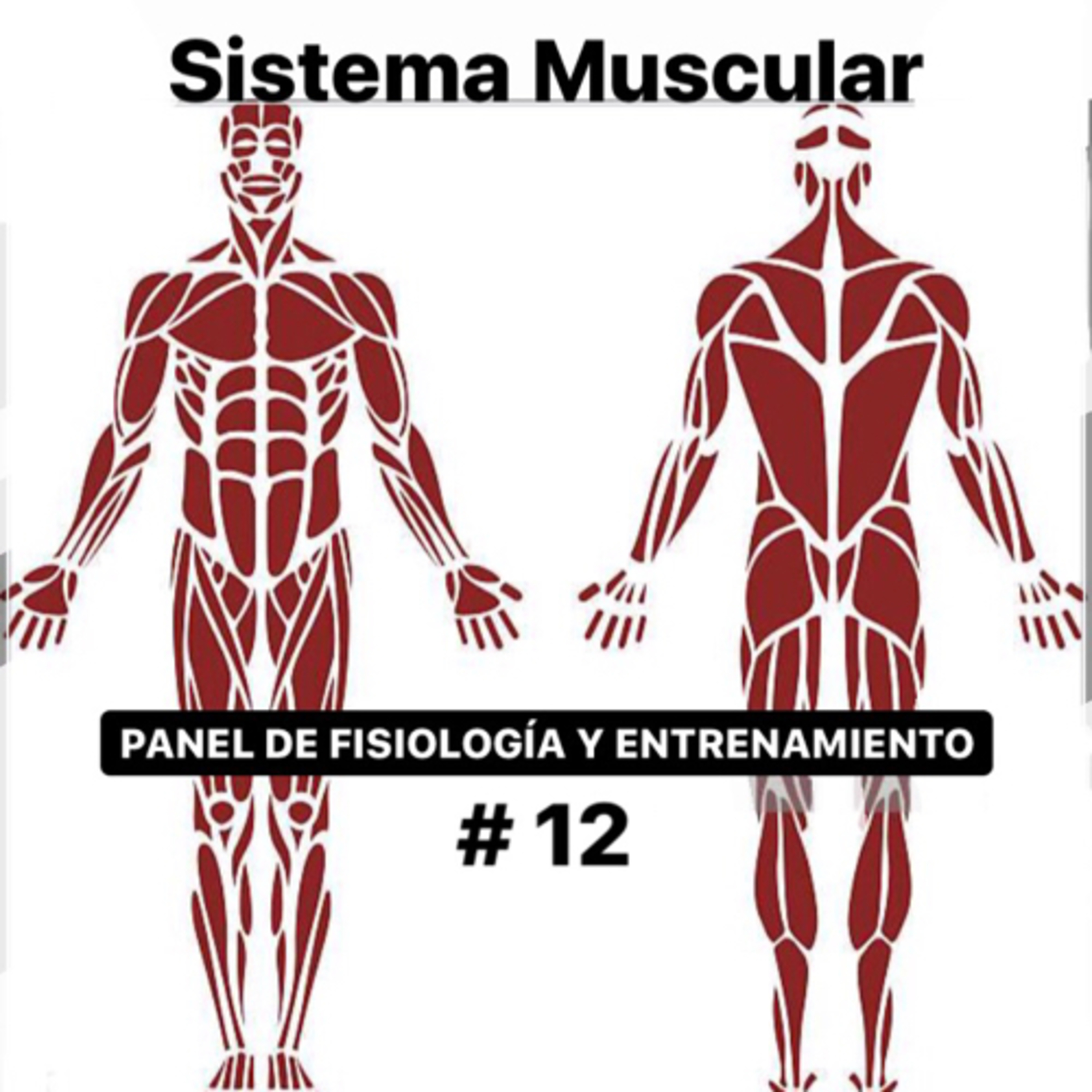 Homosapien Condición Física
