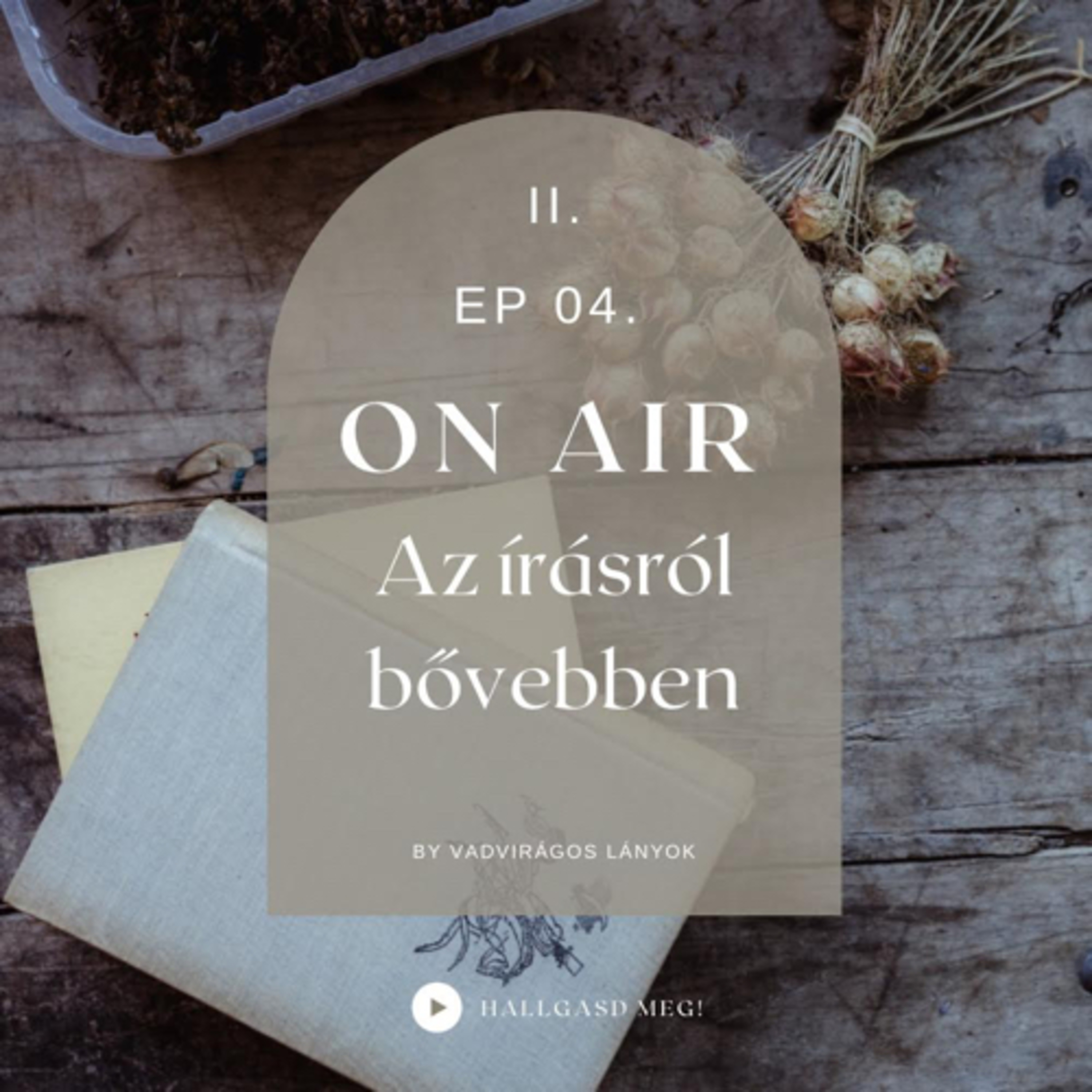 S02E04 - Az írásról bővebben