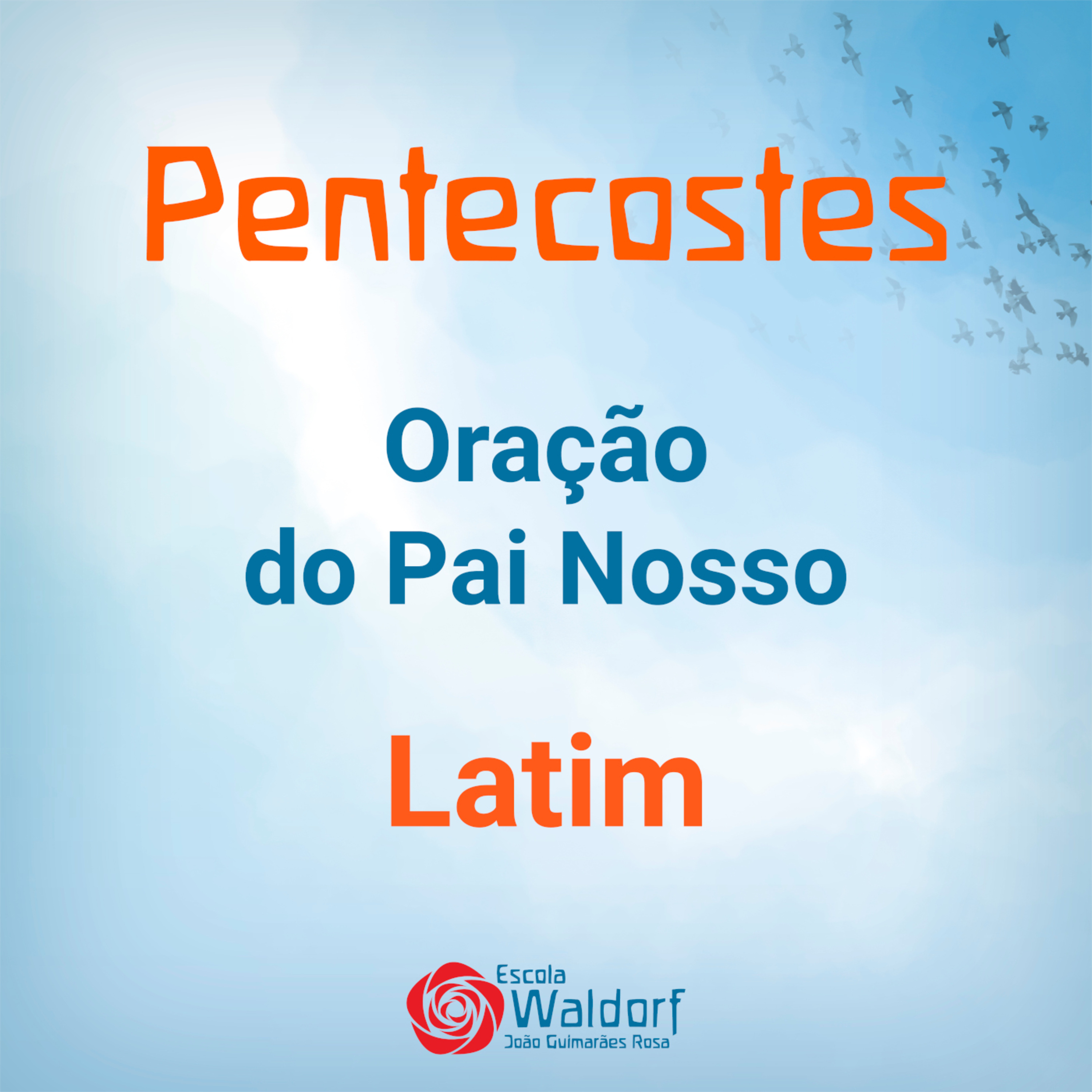 Escola Waldorf João Guimarães Rosa