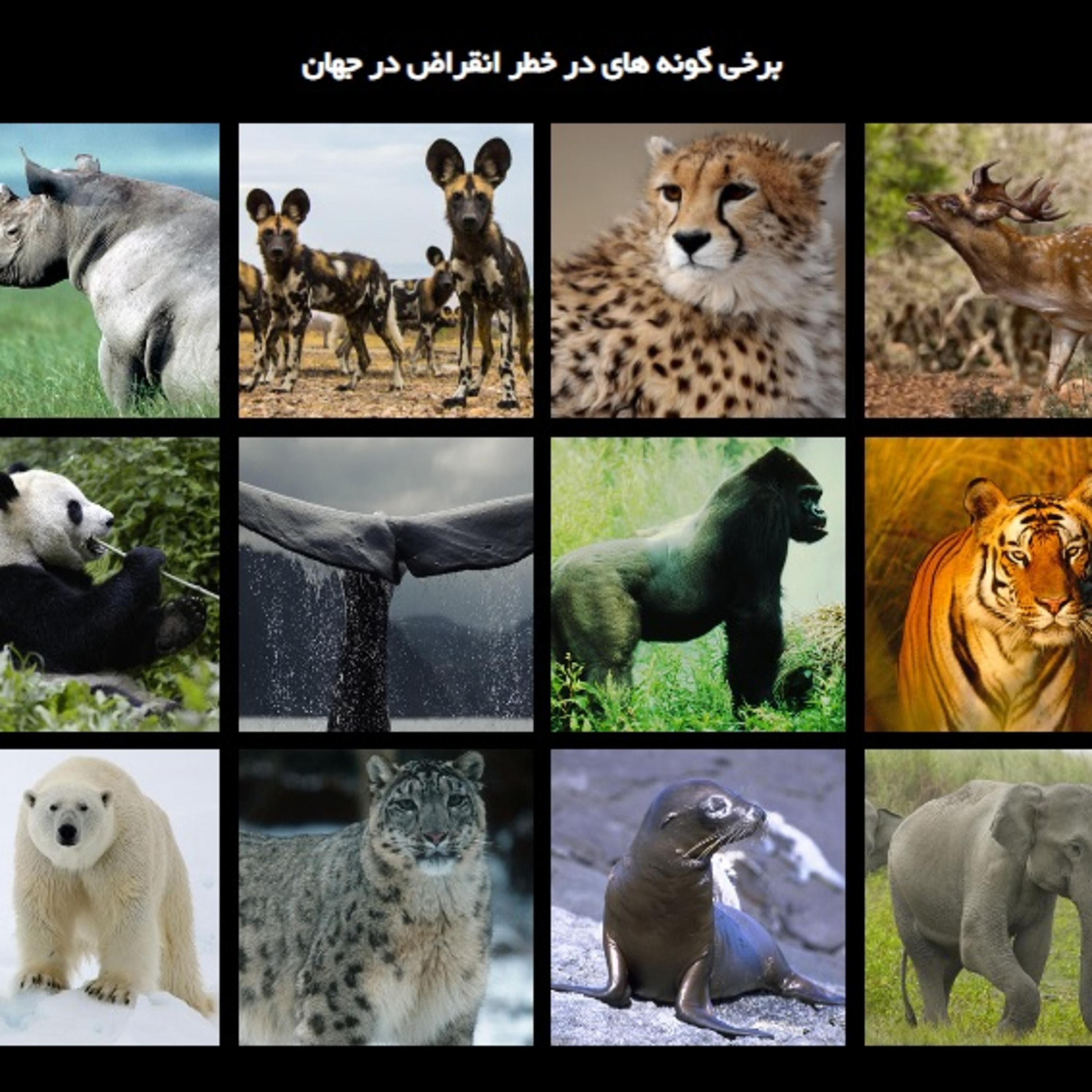 کاور محدوده حیوانات کجاست