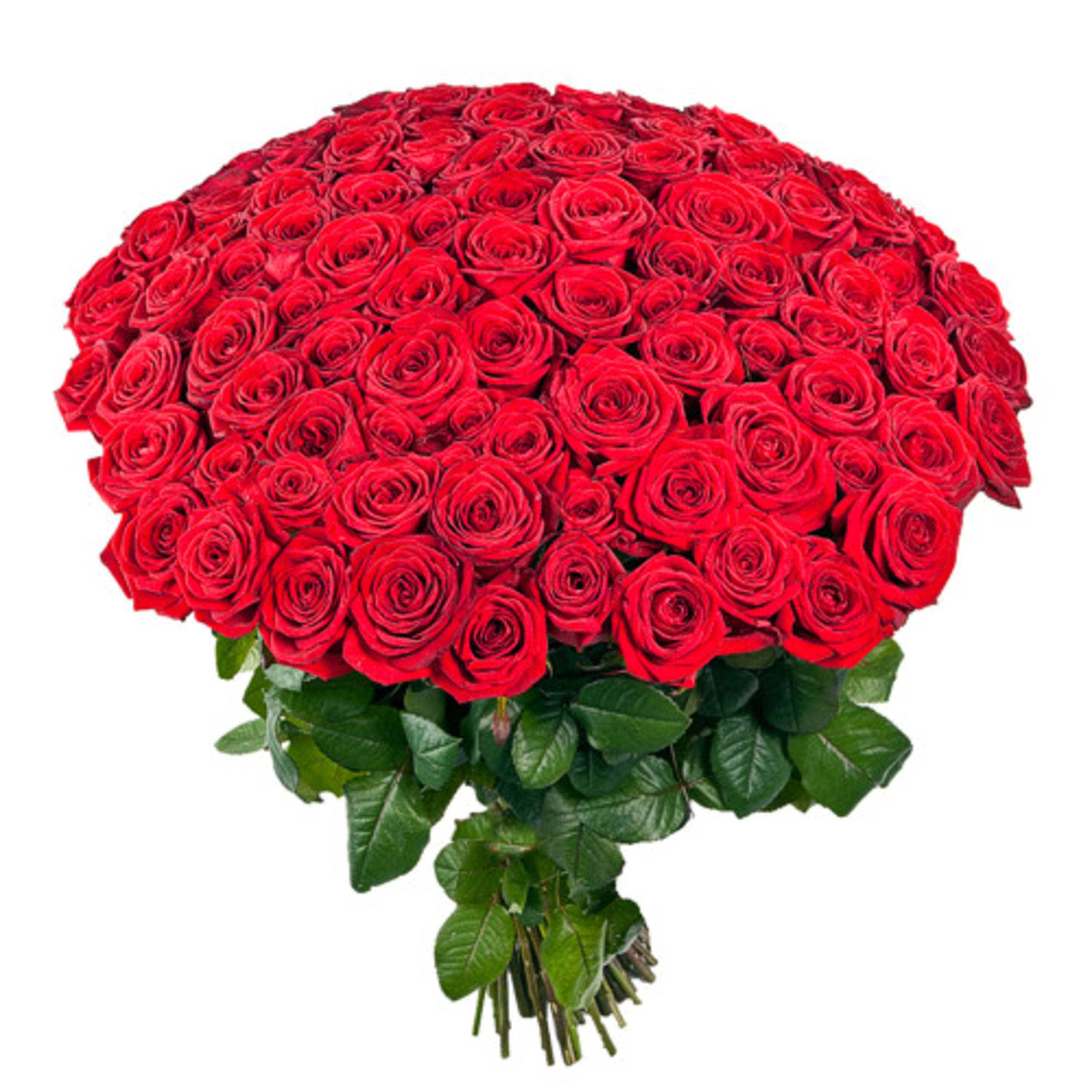 کاور خنده زورکی