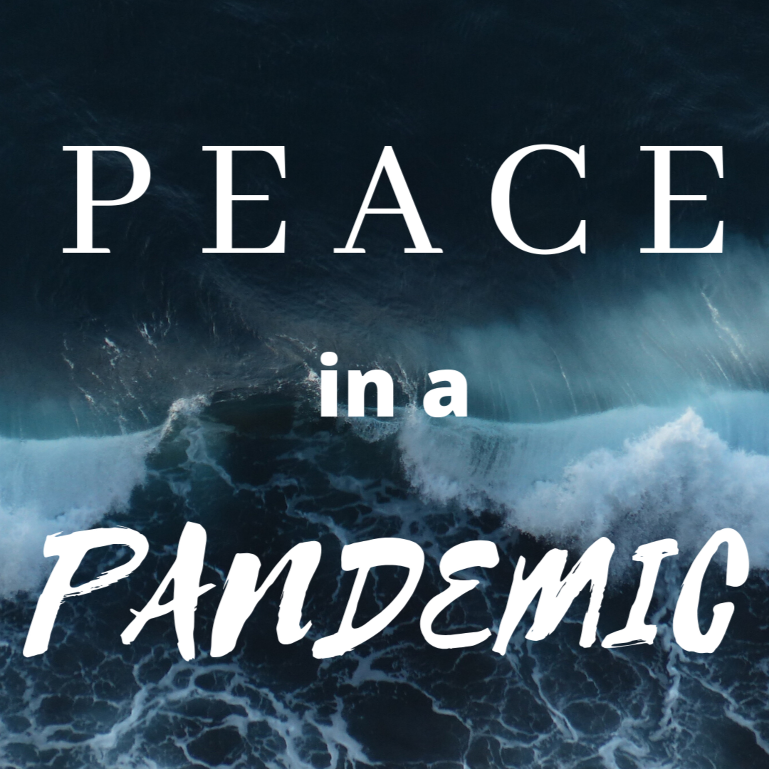 Peace in a Pandemic episode artwork