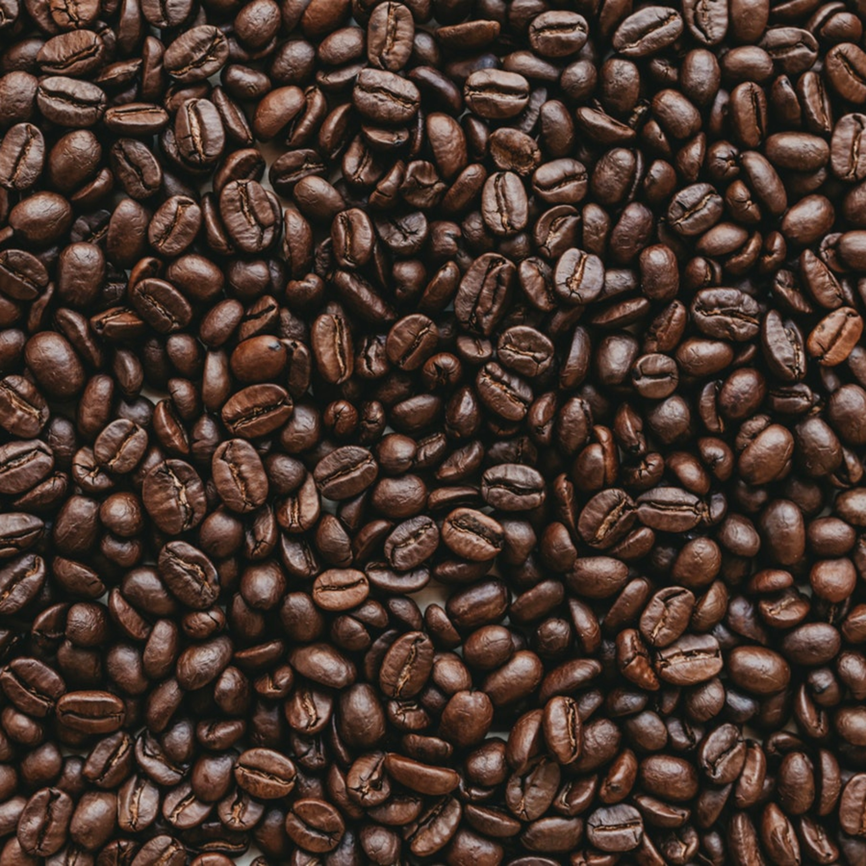 Educação Emocional com Psi Daniel Furtado