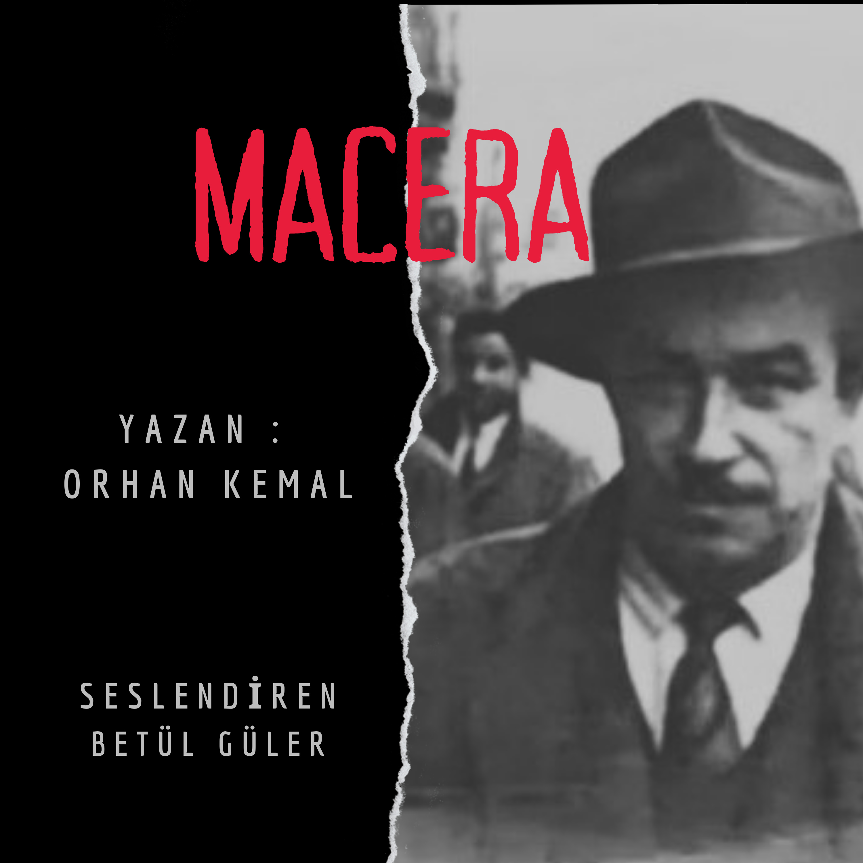Betül Güler Sesli Kitap