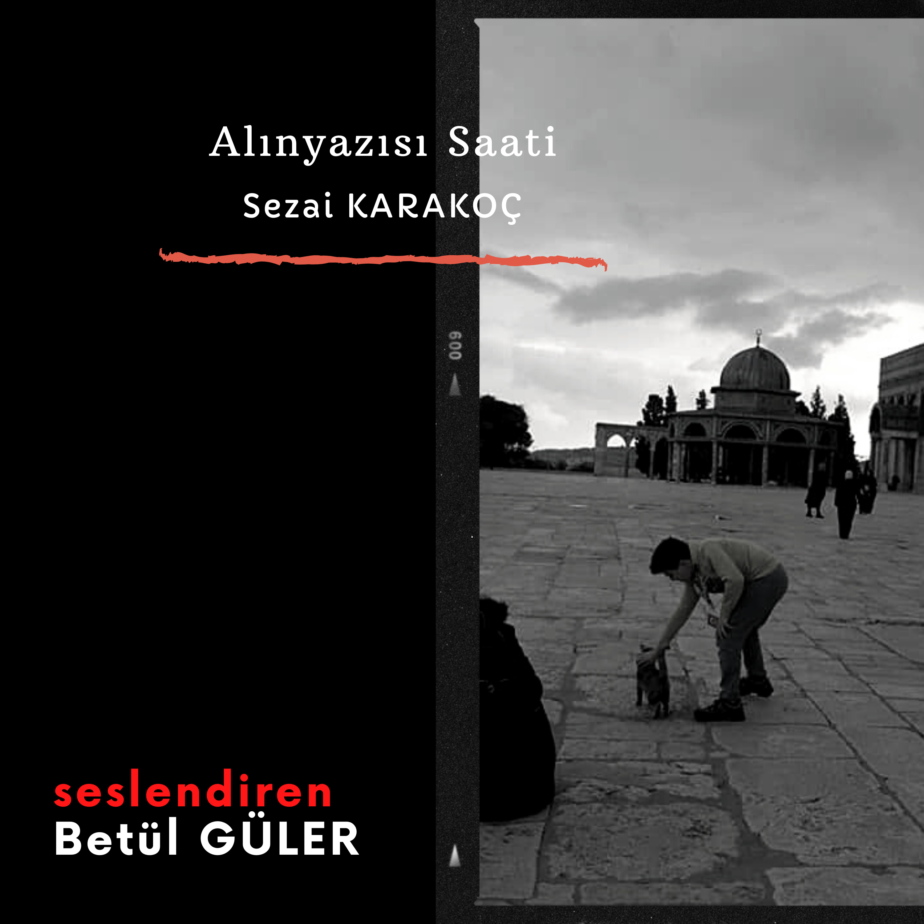 Betül Güler Sesli Kitap